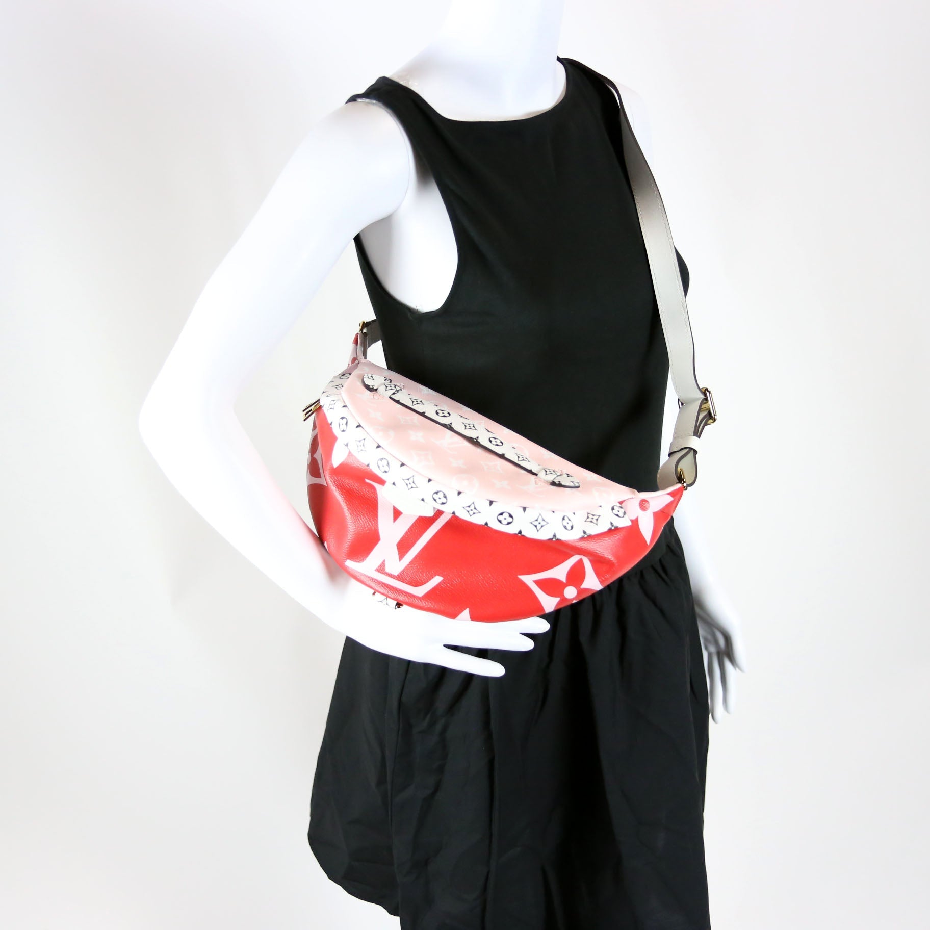 Bumbag Giant Monogram Multicolor