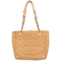 Petite Shopping Tote Tan