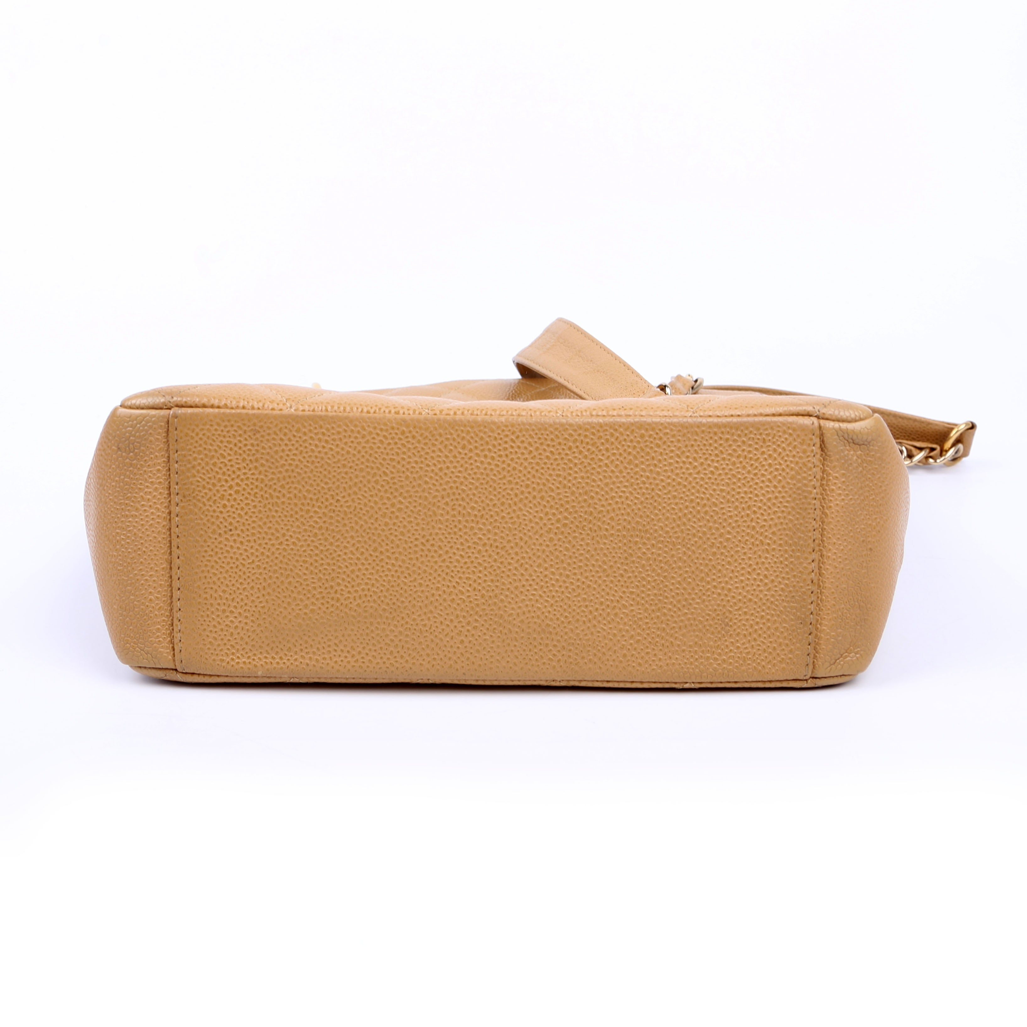 Petite Shopping Tote Tan