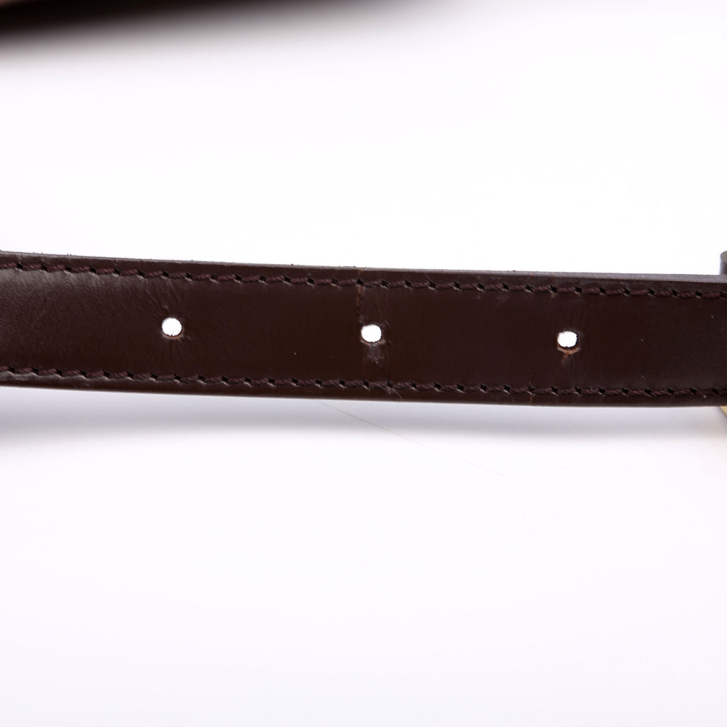 Musette Messenger Damier Ebene