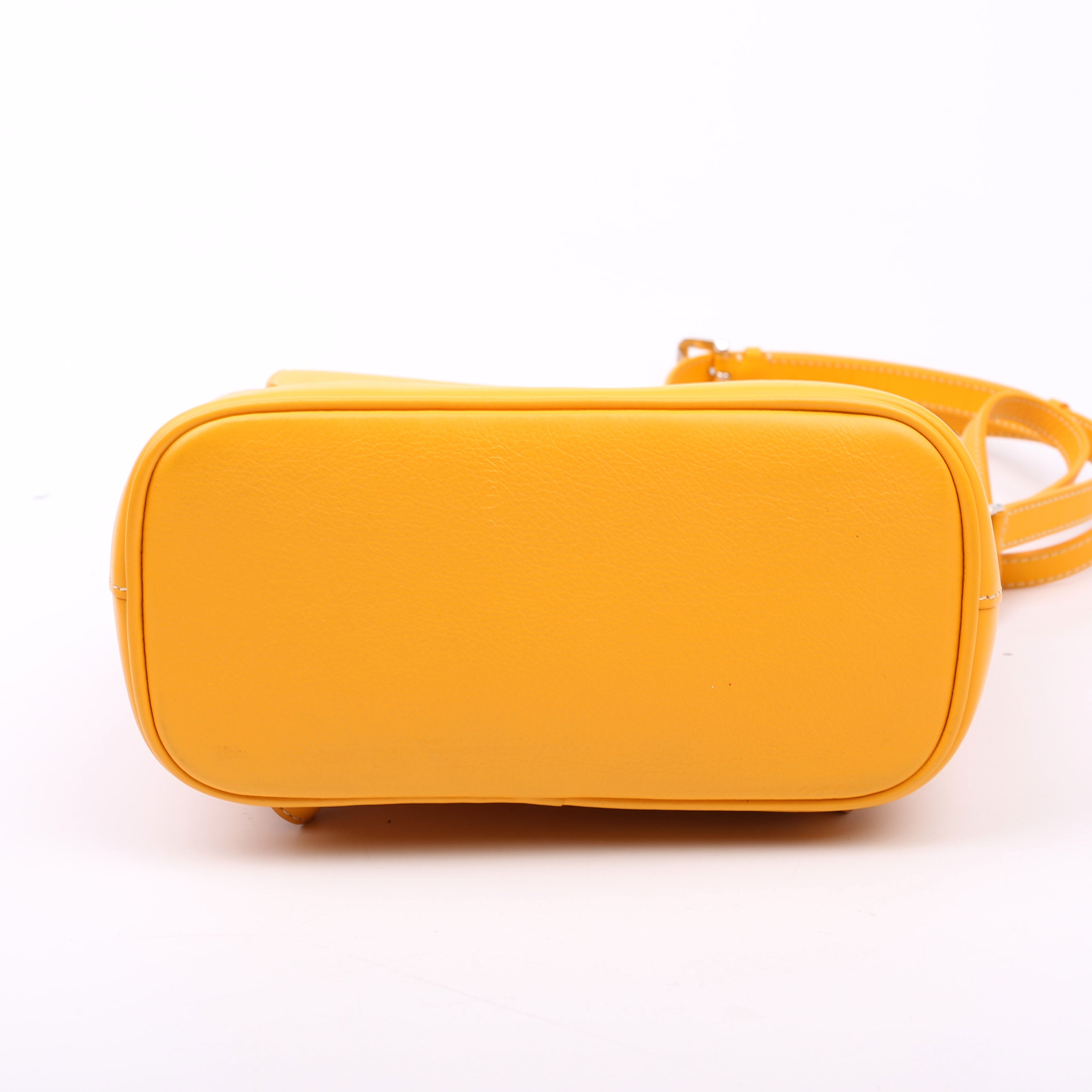 Alpin Mini Backpack Goyardine Canvas Yellow
