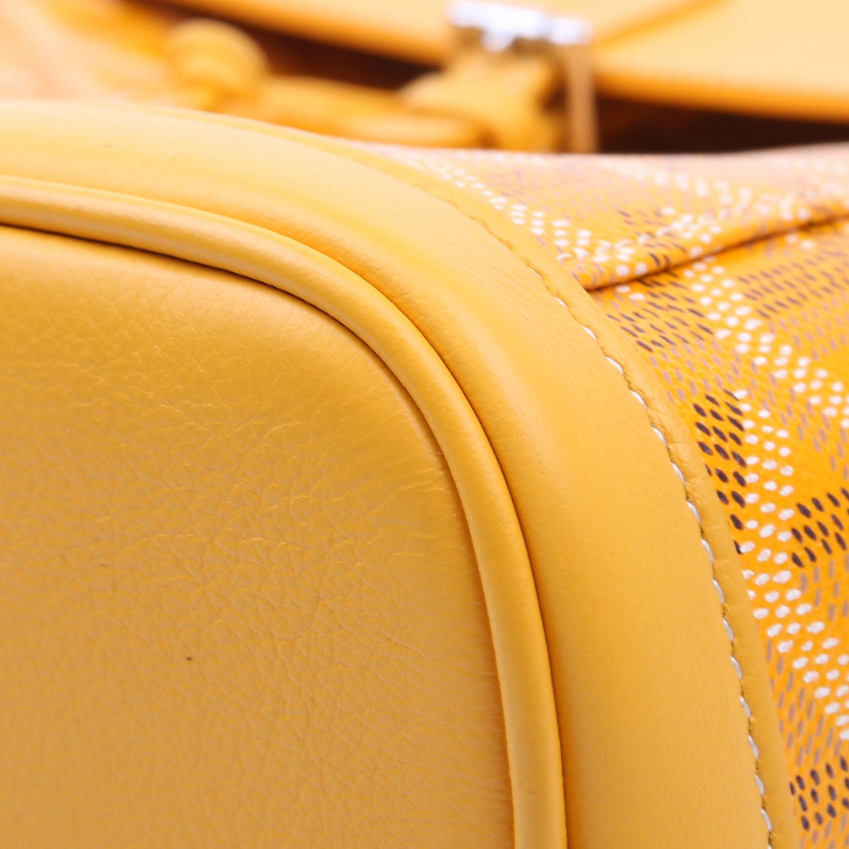 Alpin Mini Backpack Goyardine Canvas Yellow