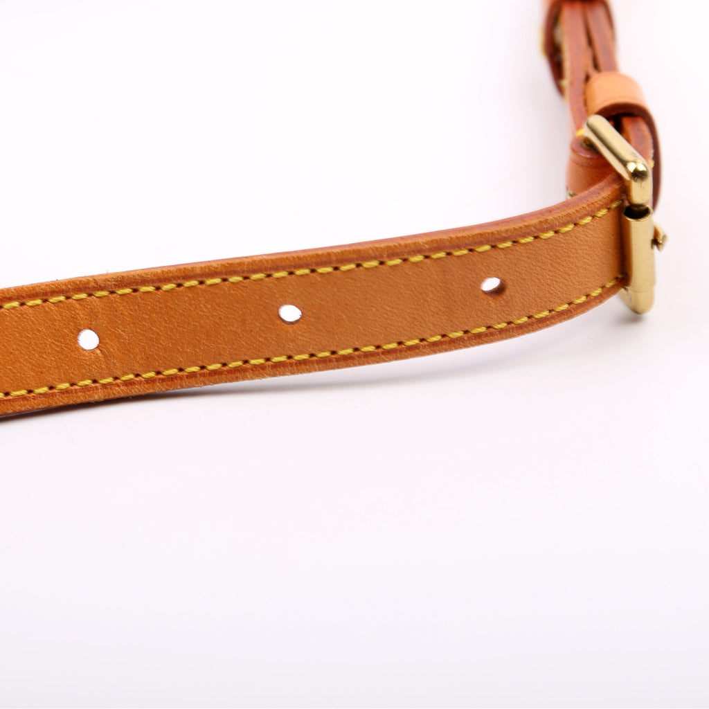 Musette Salsa Short Monogram