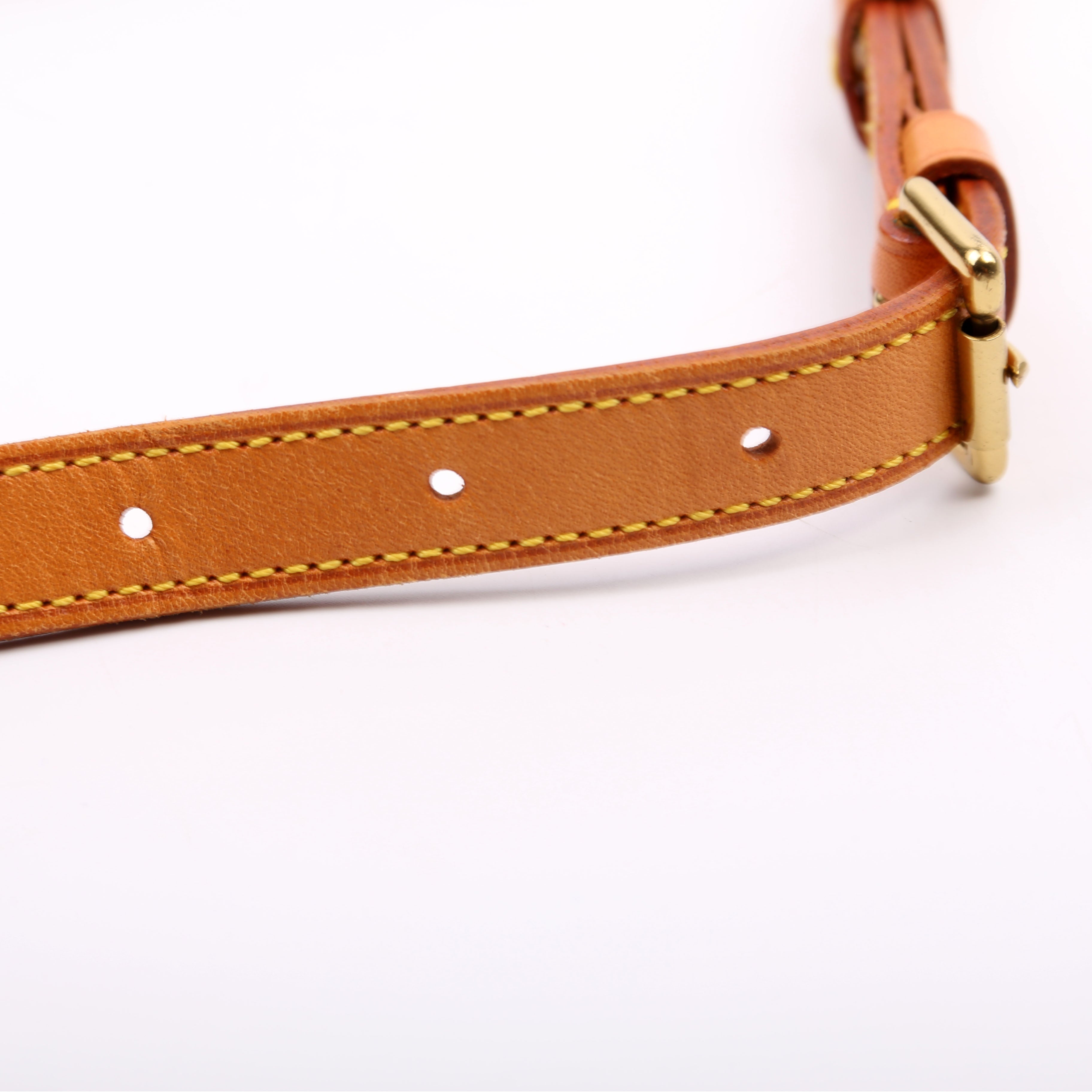 Musette Salsa Short Monogram