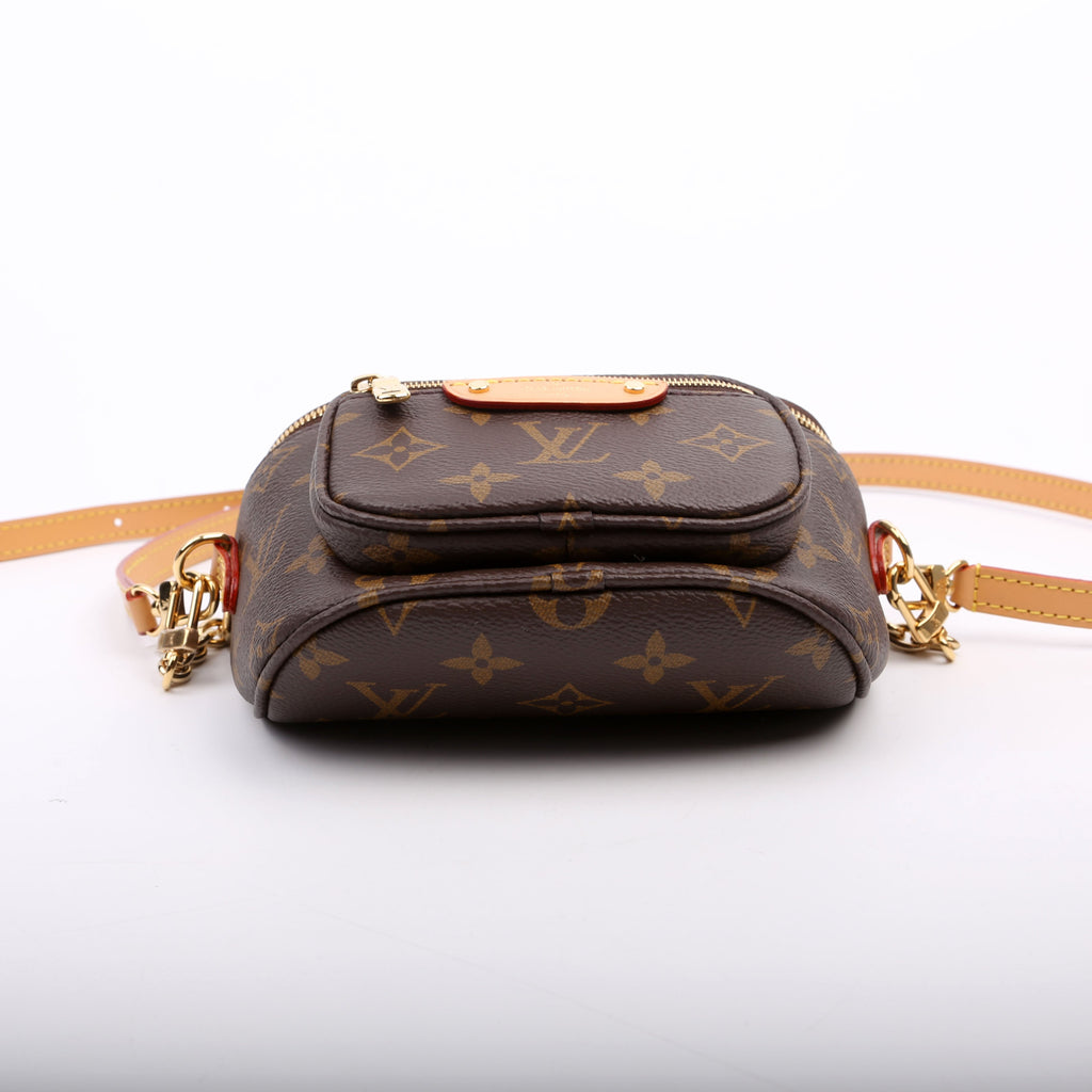 Mini Bumbag Monogram