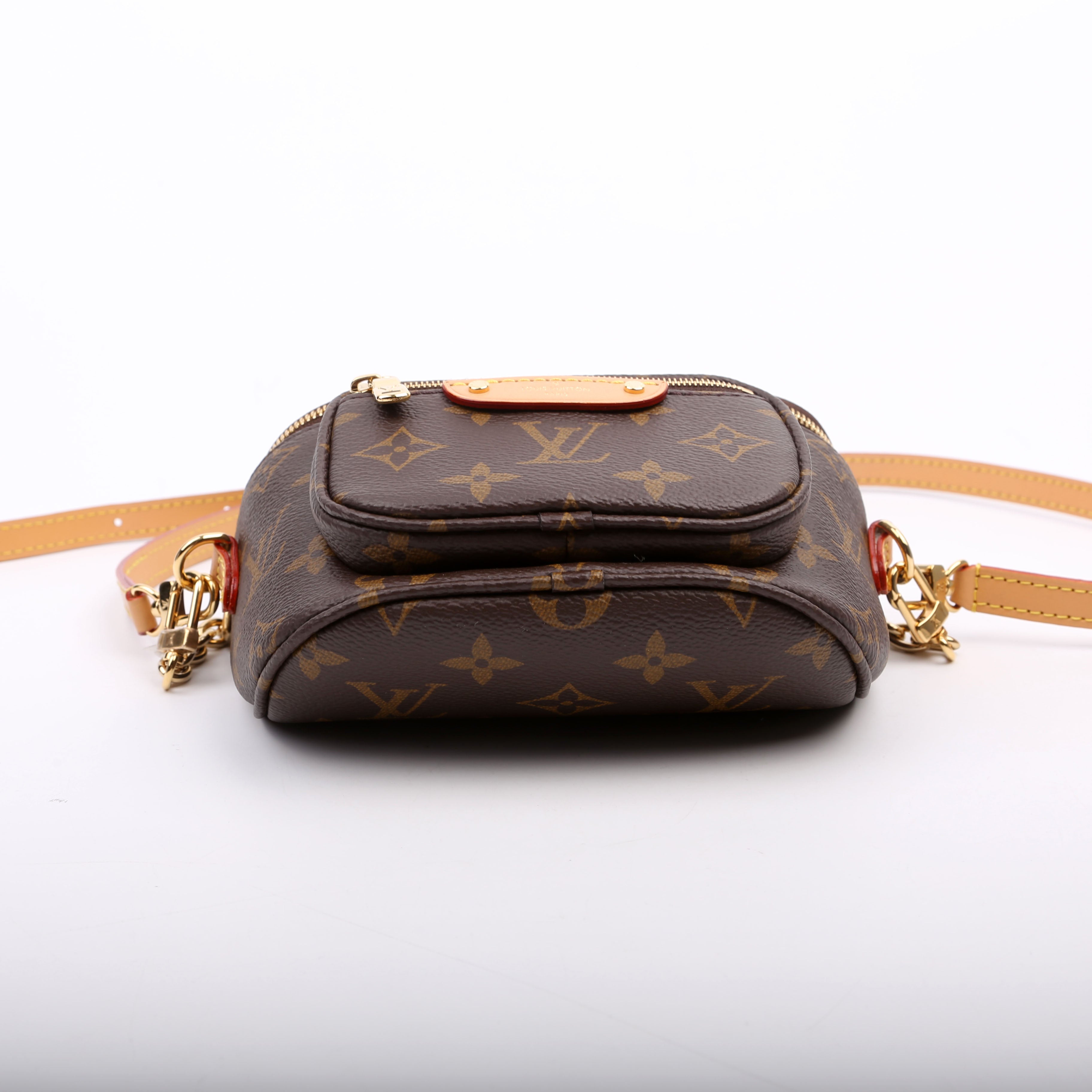 Mini Bumbag Monogram