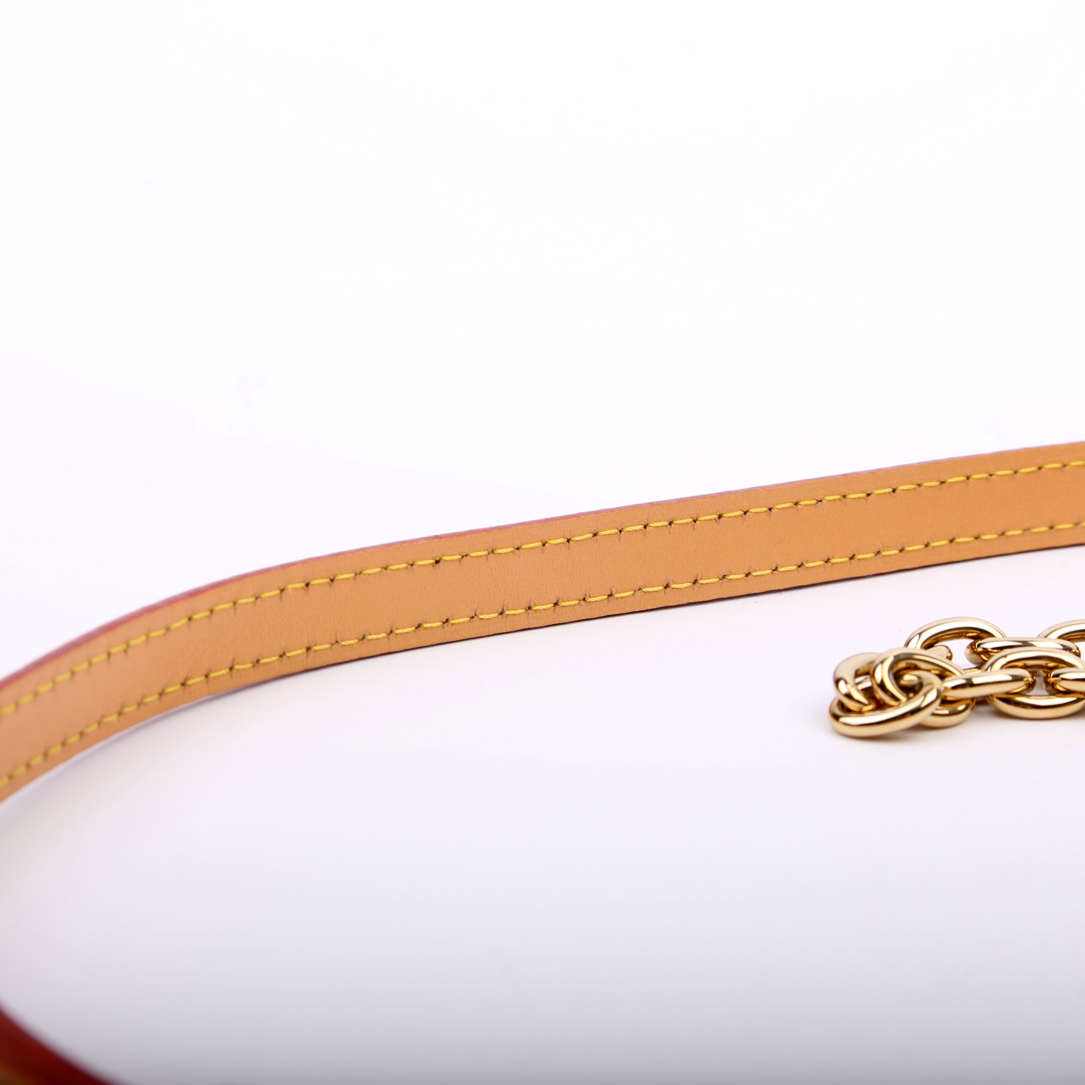 Mini Bumbag Monogram