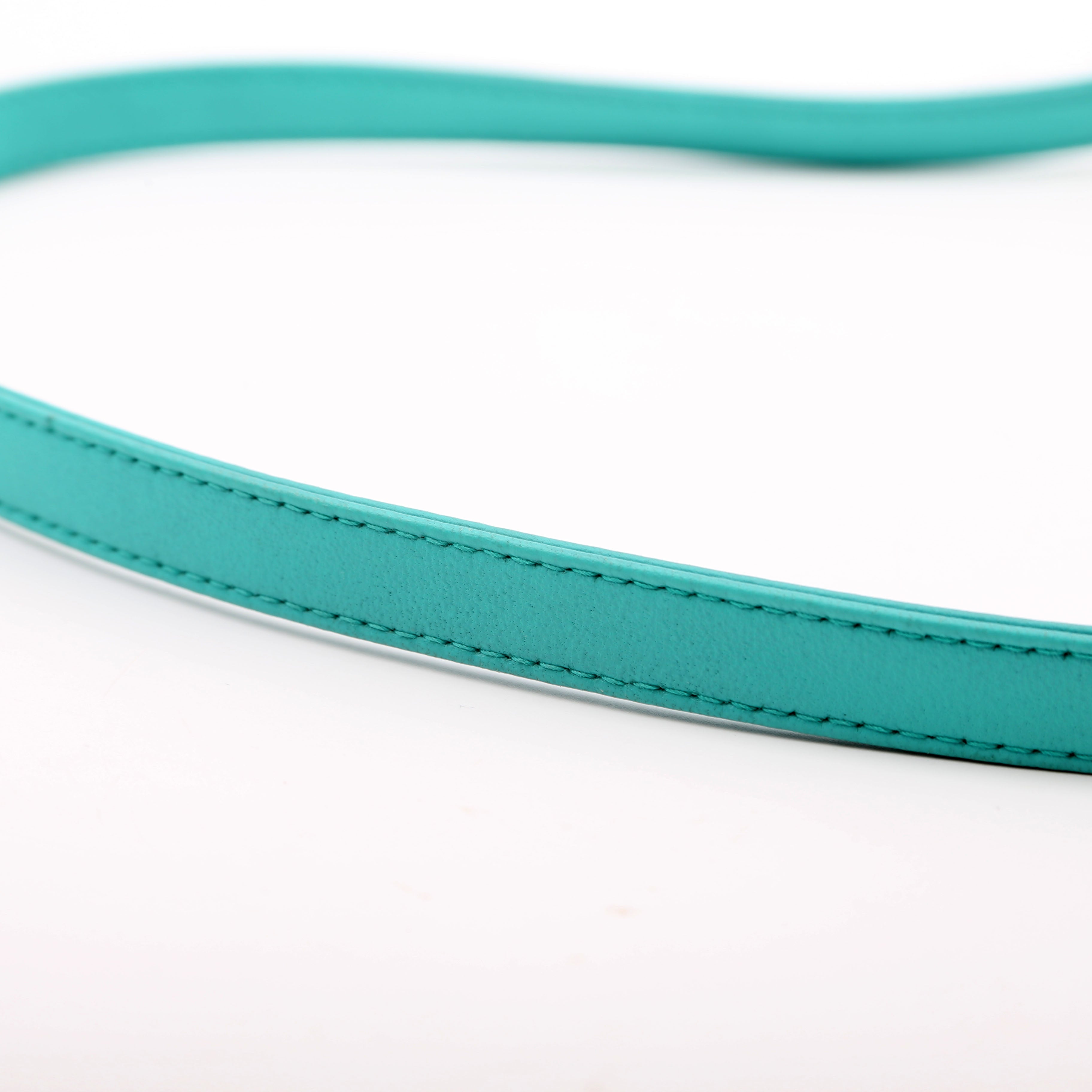 Dior Lady Dior Medium Lambskin Teal