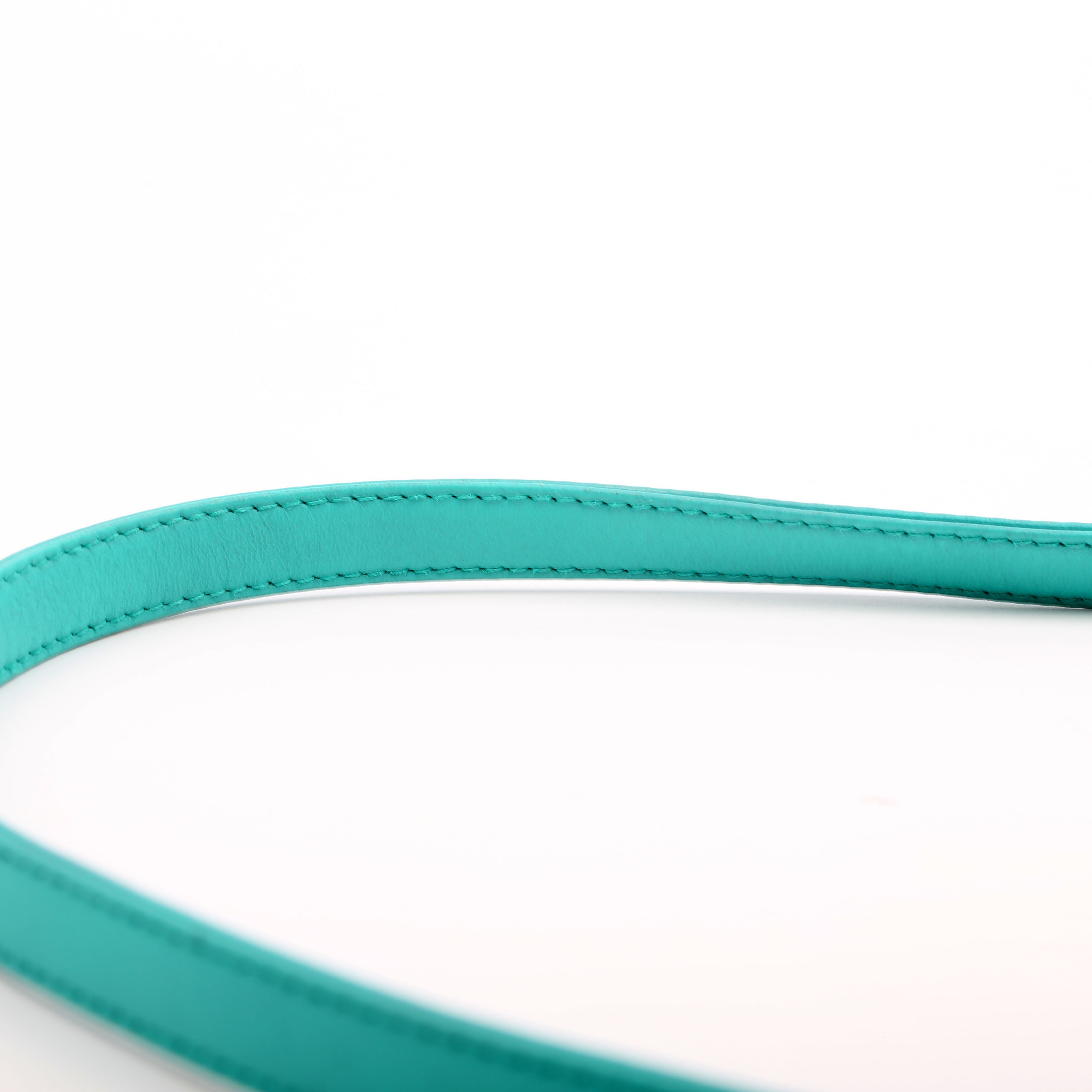 Dior Lady Dior Medium Lambskin Teal