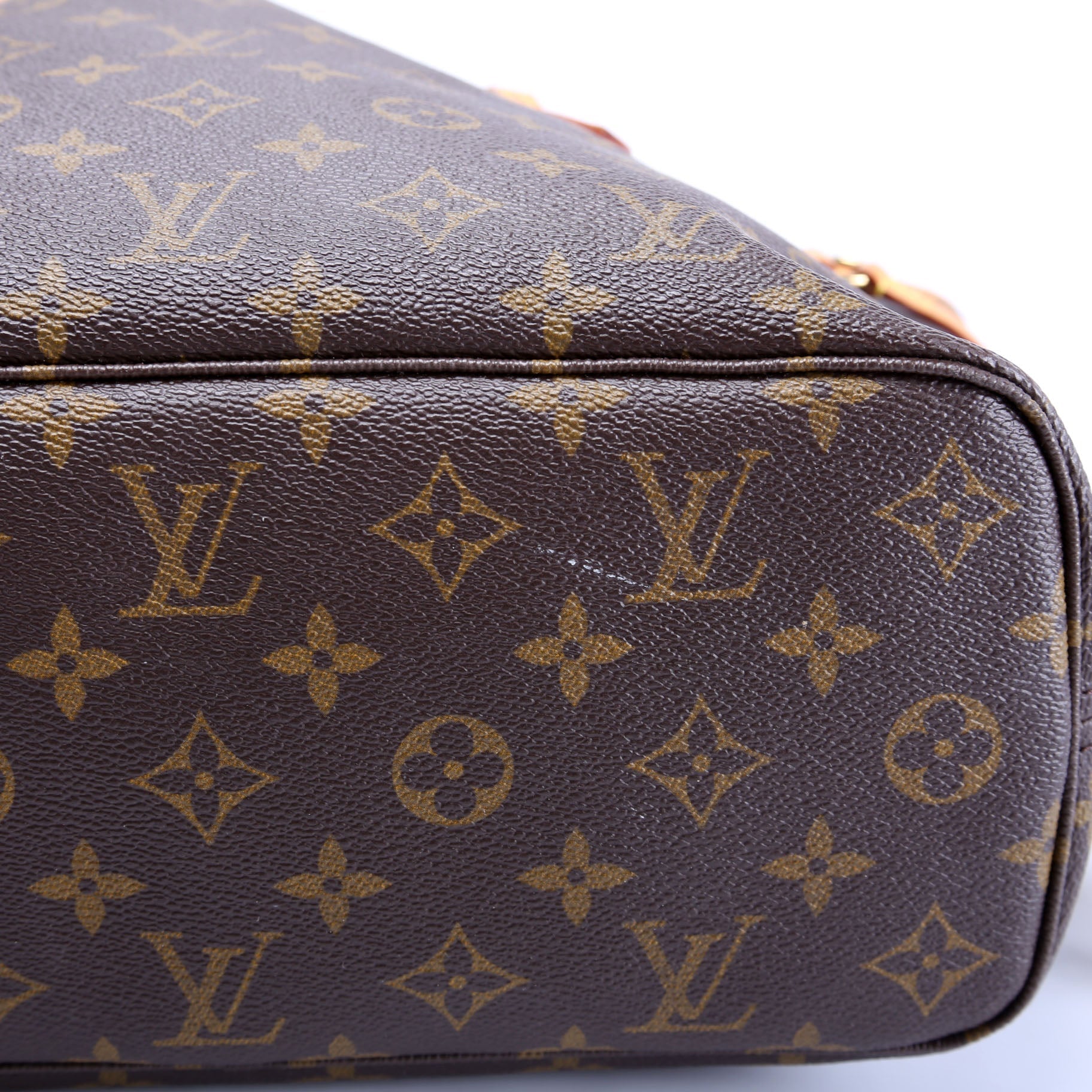 Neverfull PM Monogram
