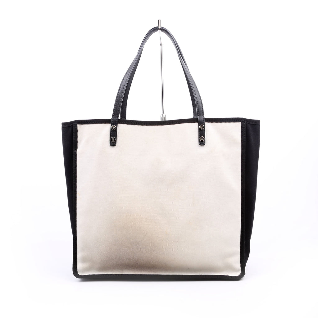 CC Lets Demonstrate Canvas Tote Small 20M