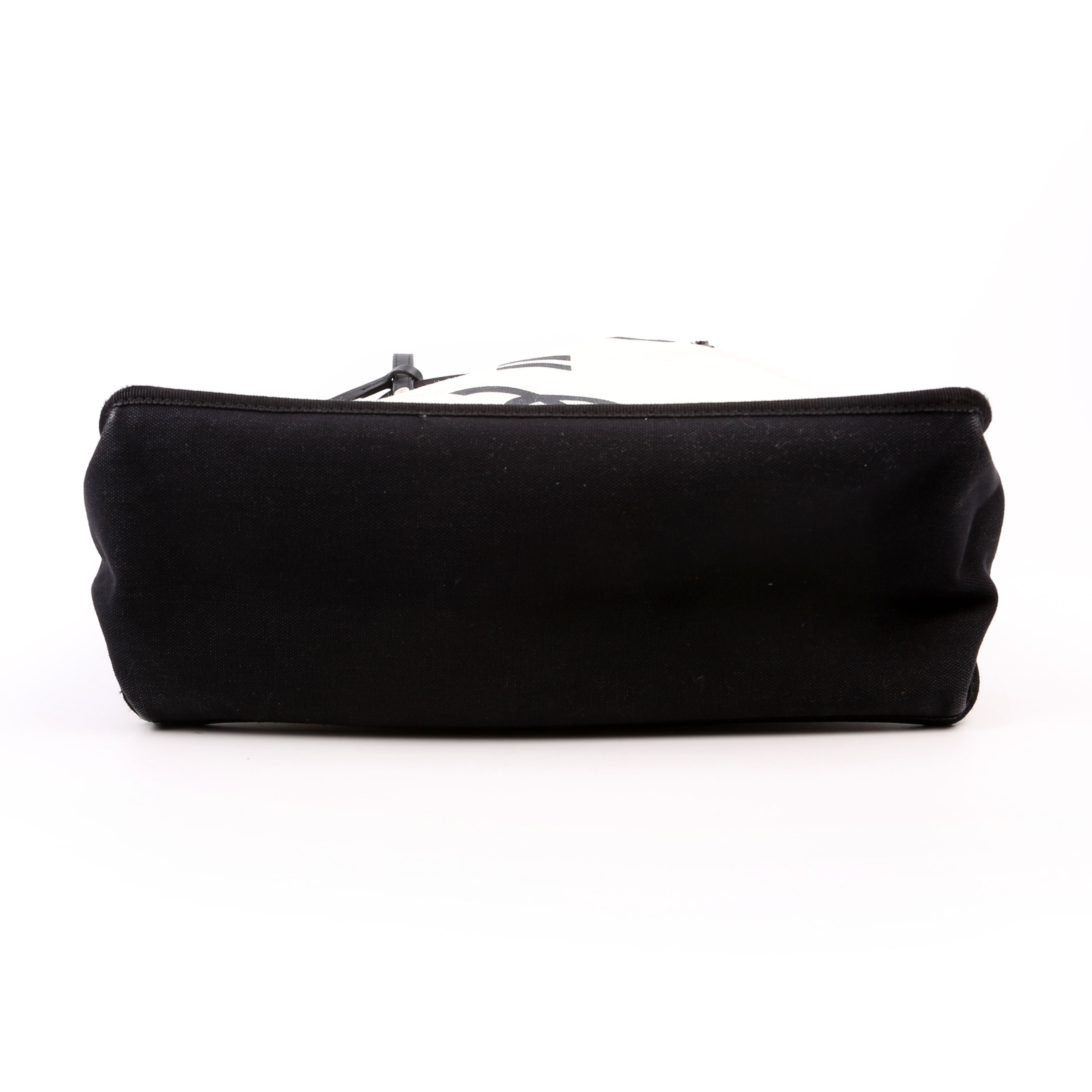 CC Lets Demonstrate Canvas Tote Small 20M