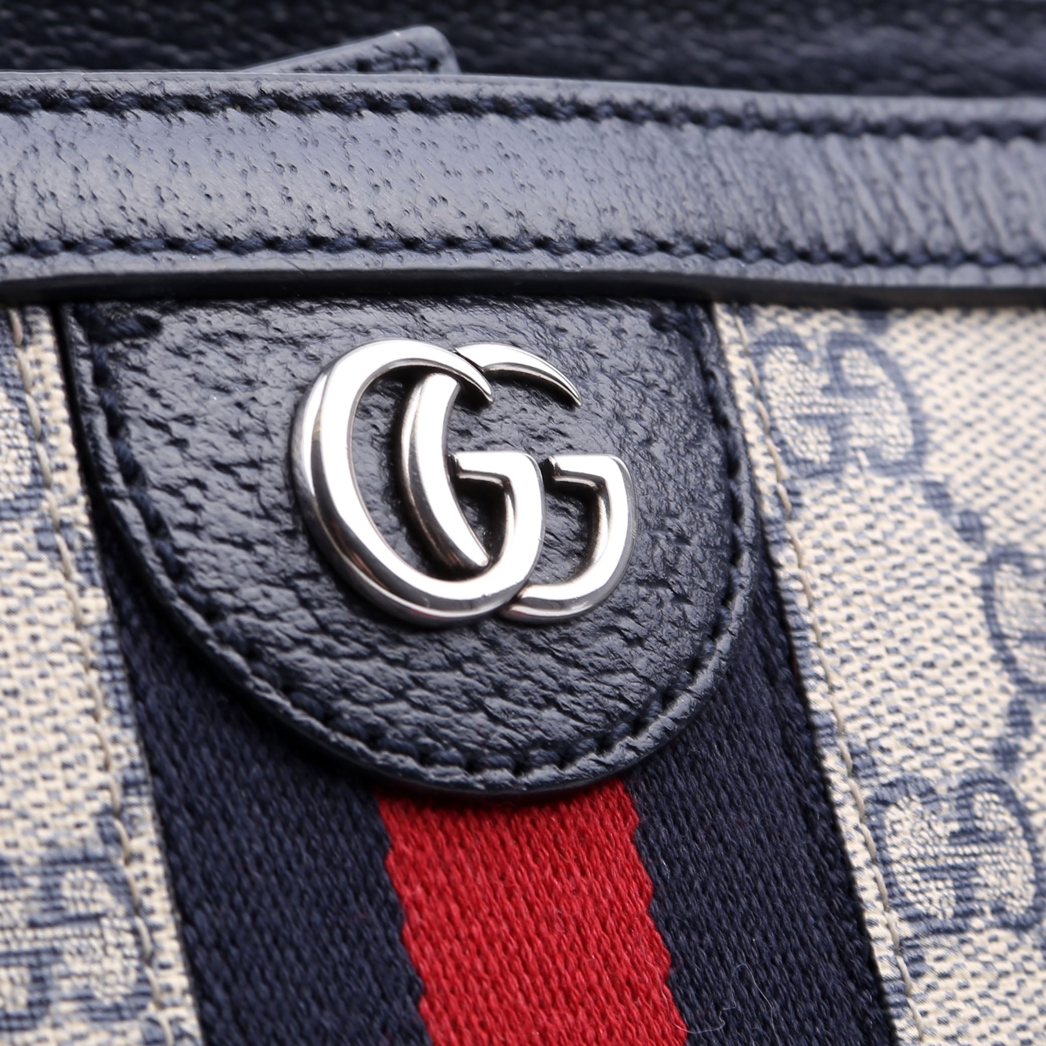 631685 Ophidia Tote
