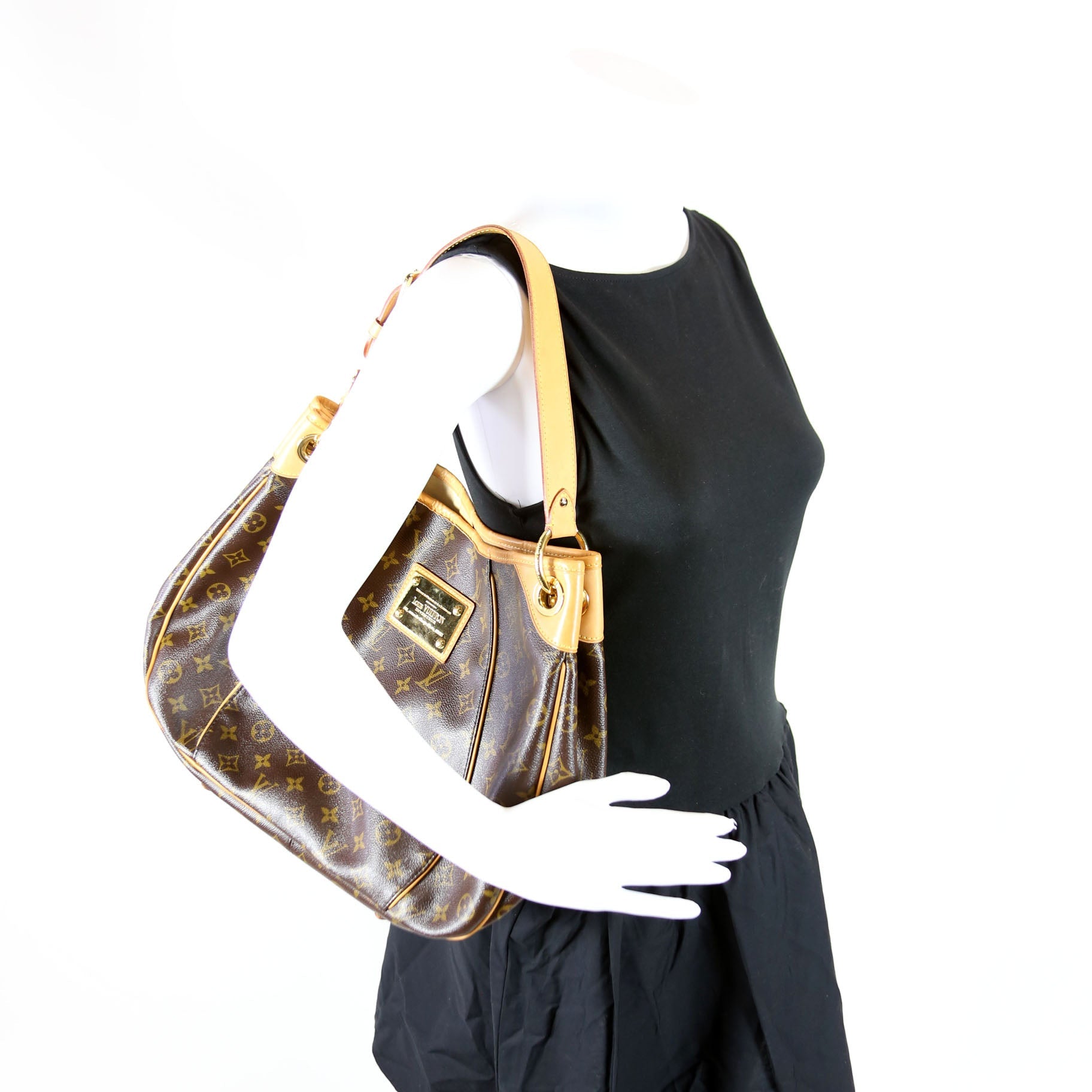 Galliera PM Monogram Brown