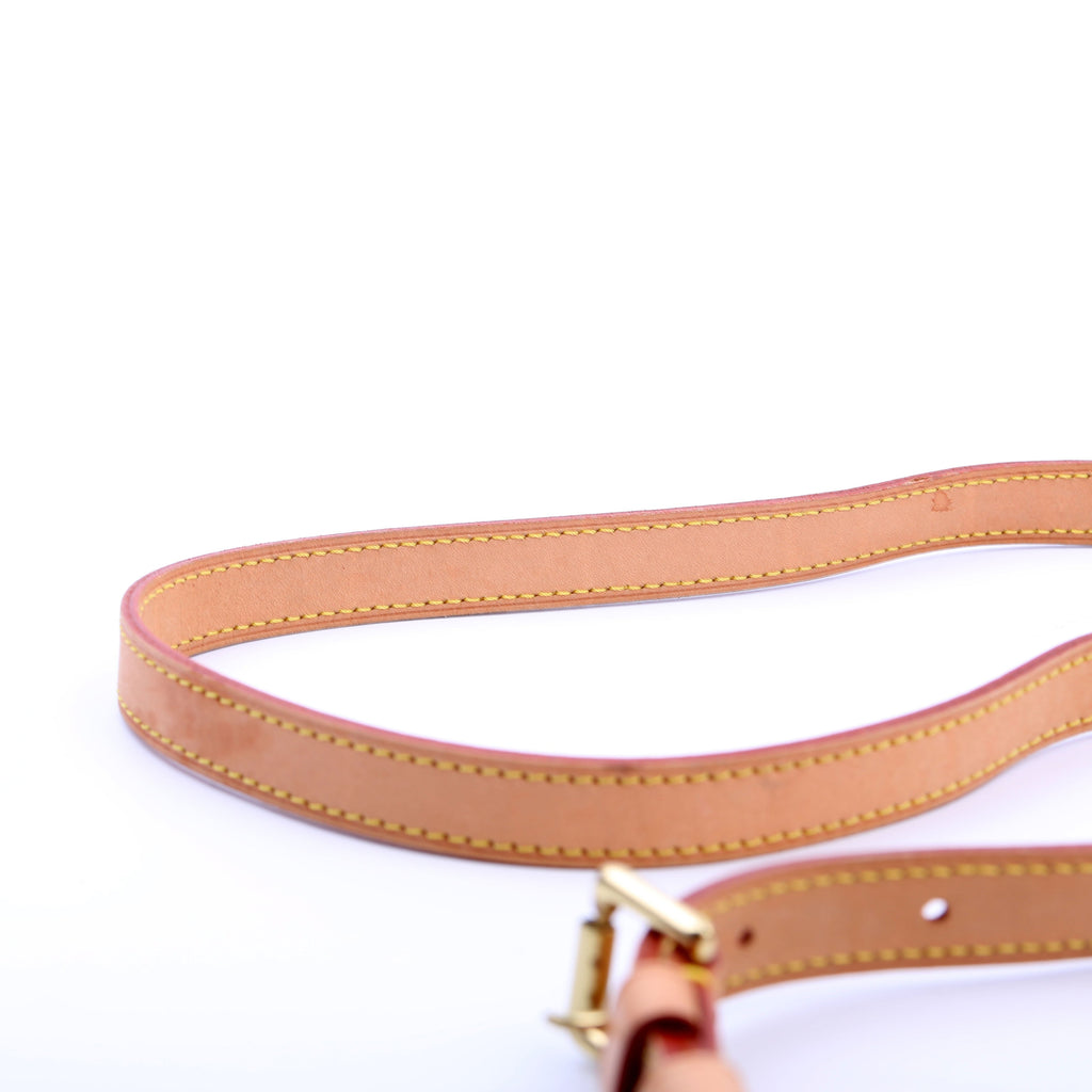 Musette Salsa Long Monogram
