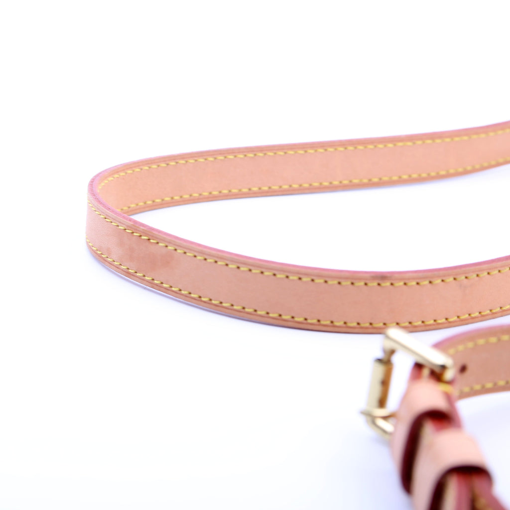 Musette Salsa Long Monogram