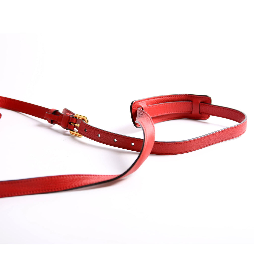 Vitello Daino Double Zip Camera Bag Red/Gold