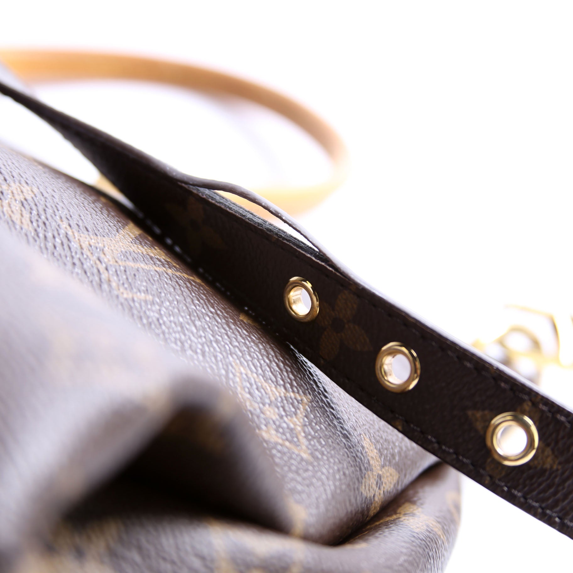 Pallas Tote Monogram Leather Side
