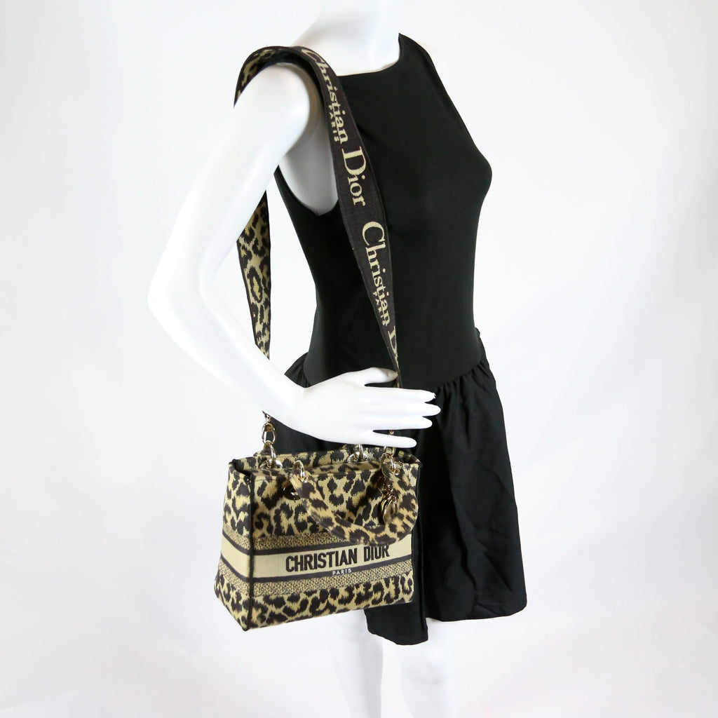 Dior Lady D-Lite Medium Mizza Embroidered