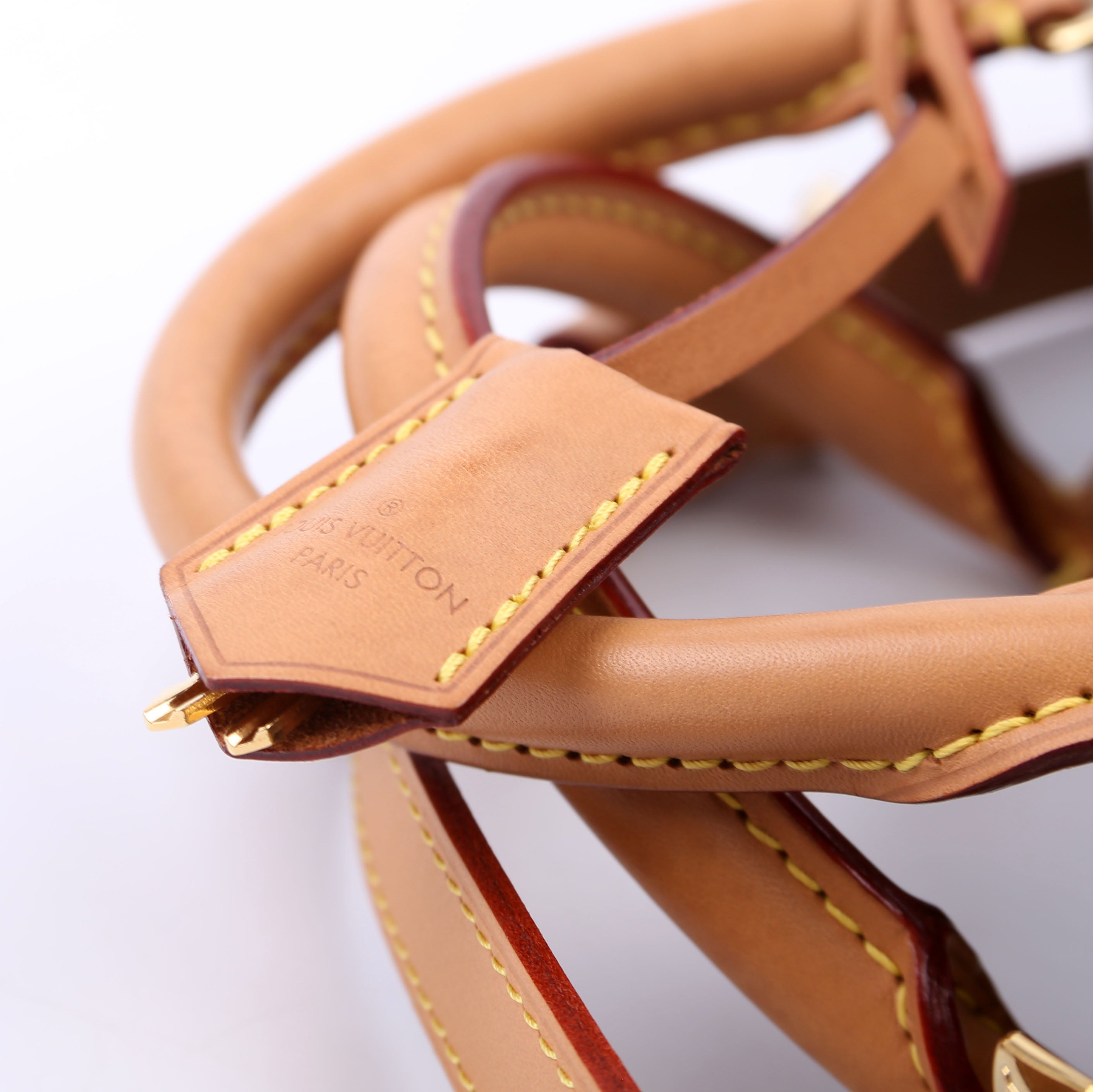 Speedy 30 Bandouliere Giant Reversed Monogram