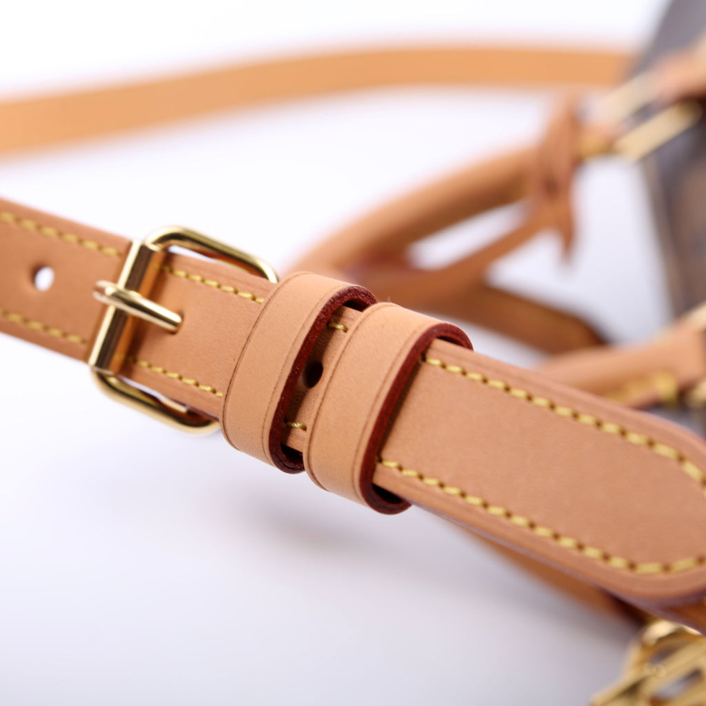 Speedy 30 Bandouliere Giant Reversed Monogram