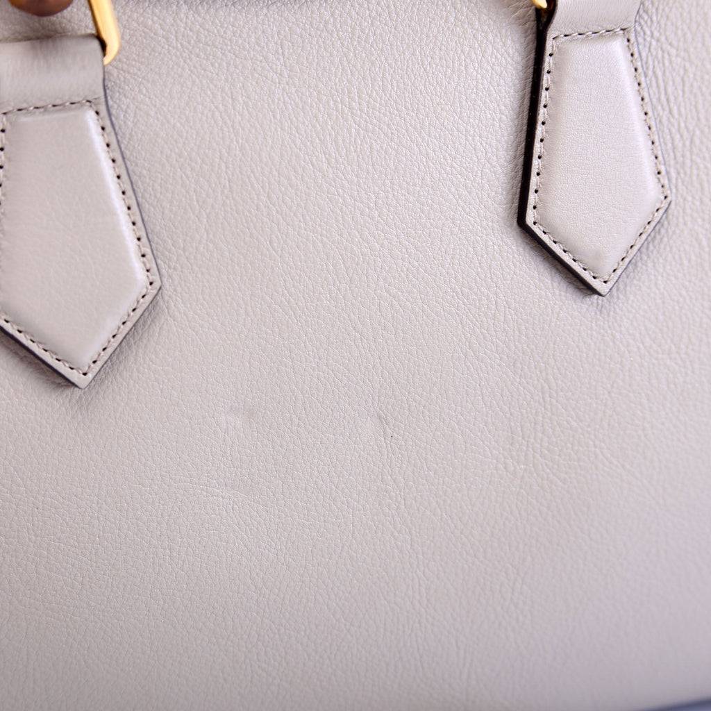 660195 Diana Small Leather Tote Taupe/Green