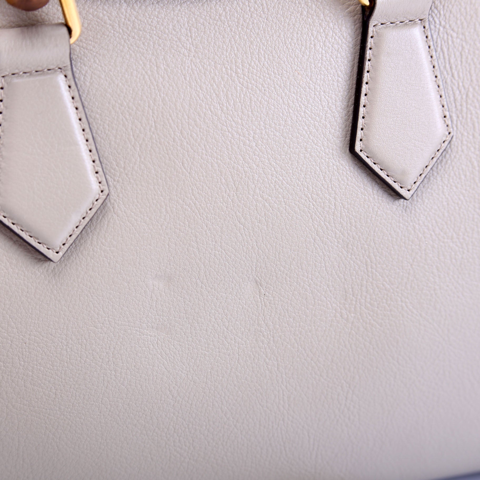 660195 Diana Small Leather Tote Taupe/Green