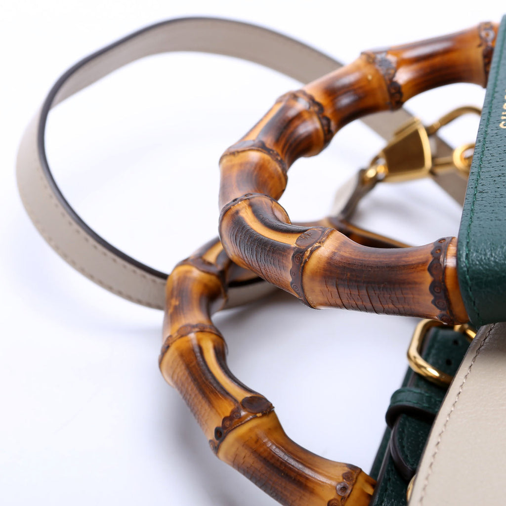 660195 Diana Small Leather Tote Taupe/Green