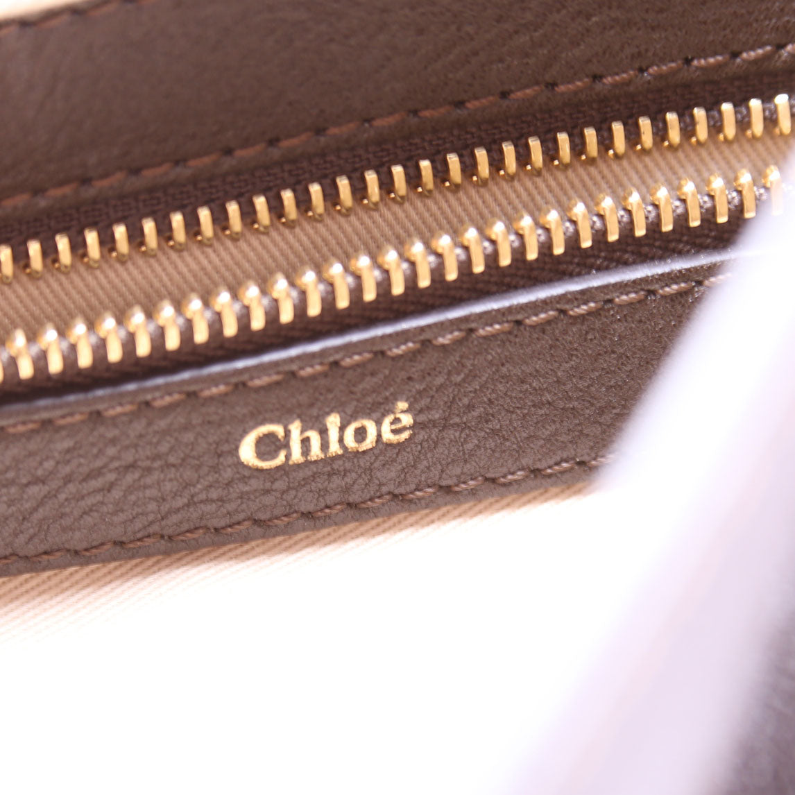 Georgia Hobo Calfskin Brown