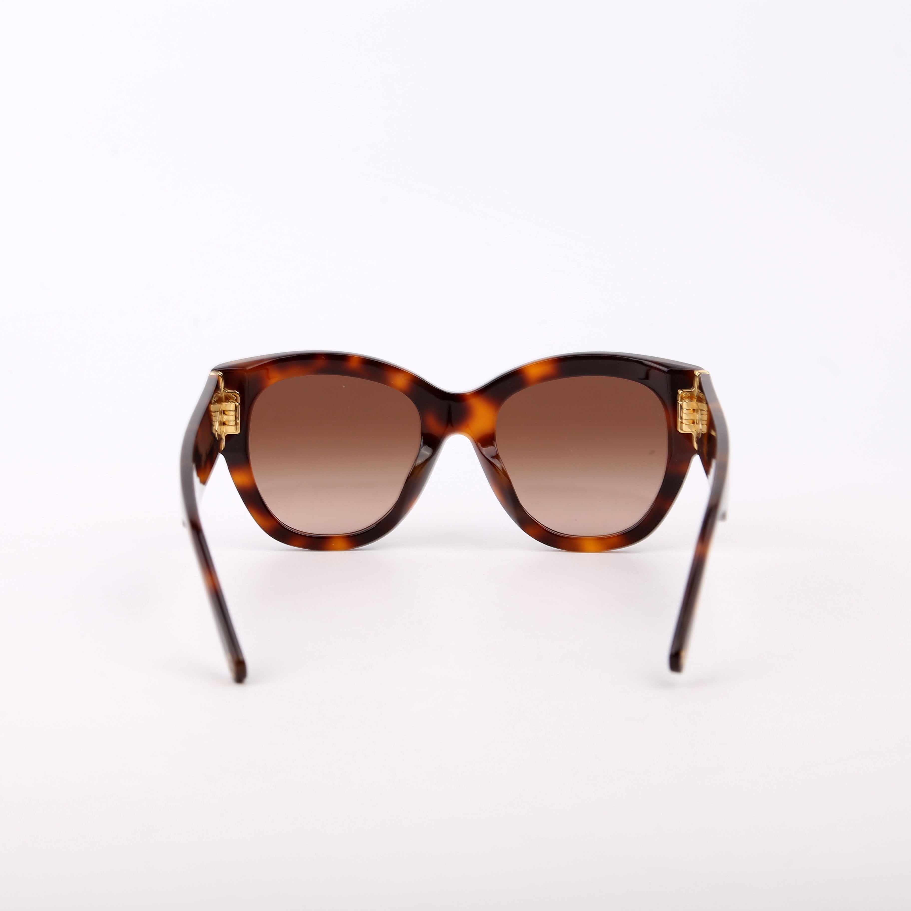 Z1608E Tortoise Sunglasses Brown