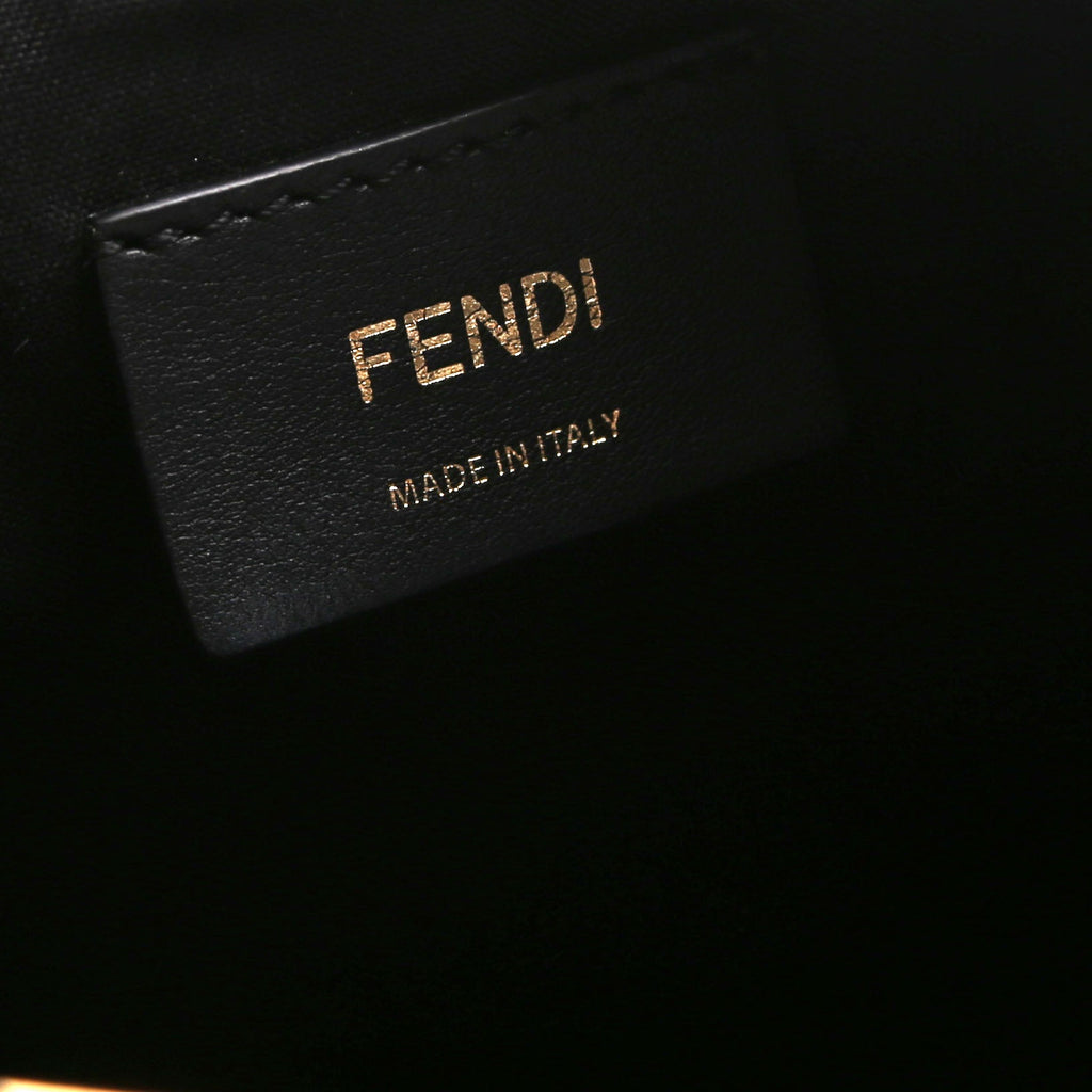 Fendigraphy Small Leather Hobo Black