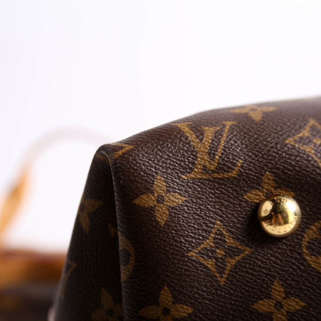 Carryall MM NM Monogram