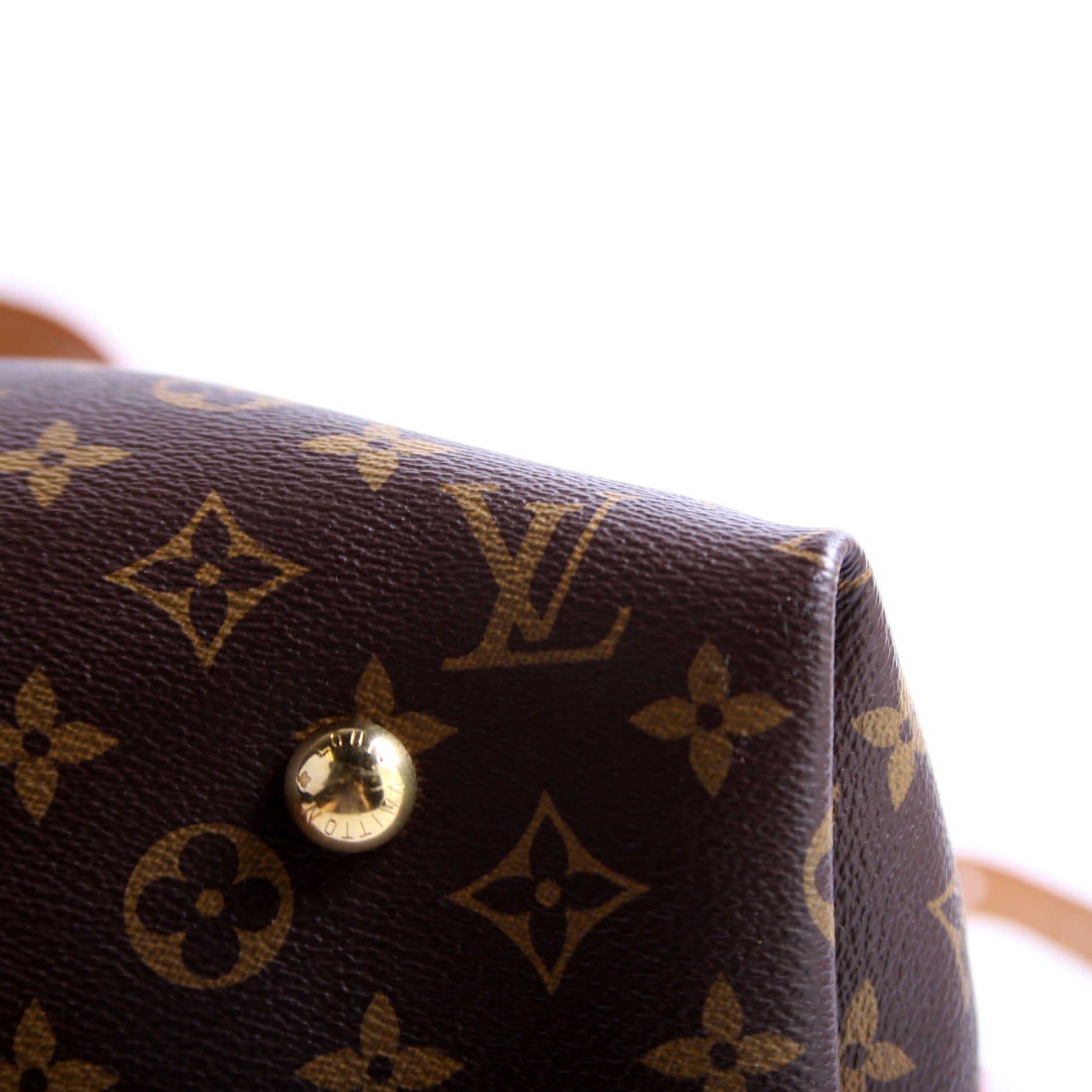 Carryall MM NM Monogram