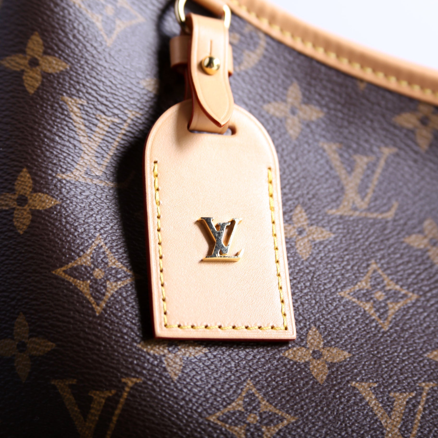 Carryall MM NM Monogram