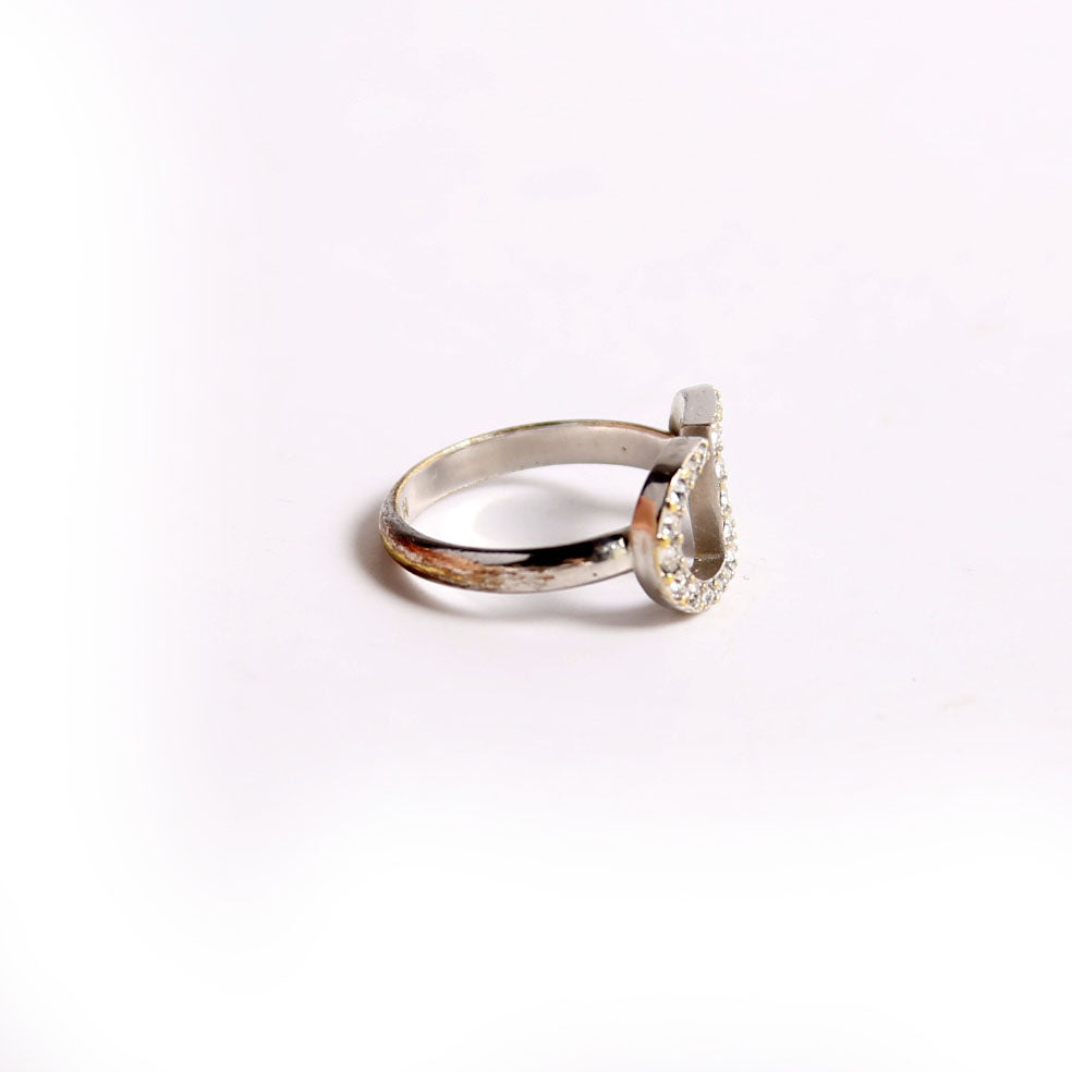 Petit Crystal CD Size Medium Silver
