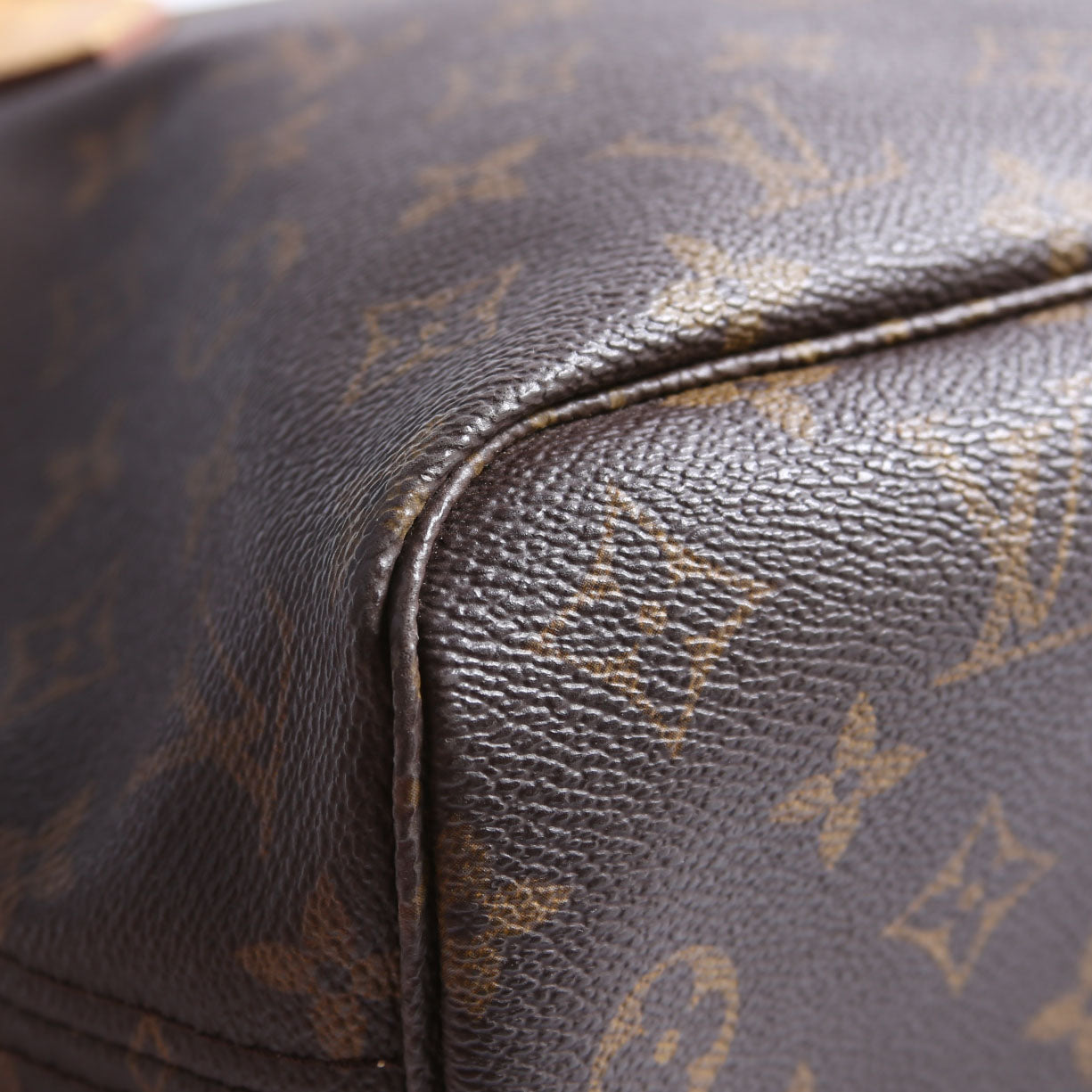 Neverfull PM Monogram