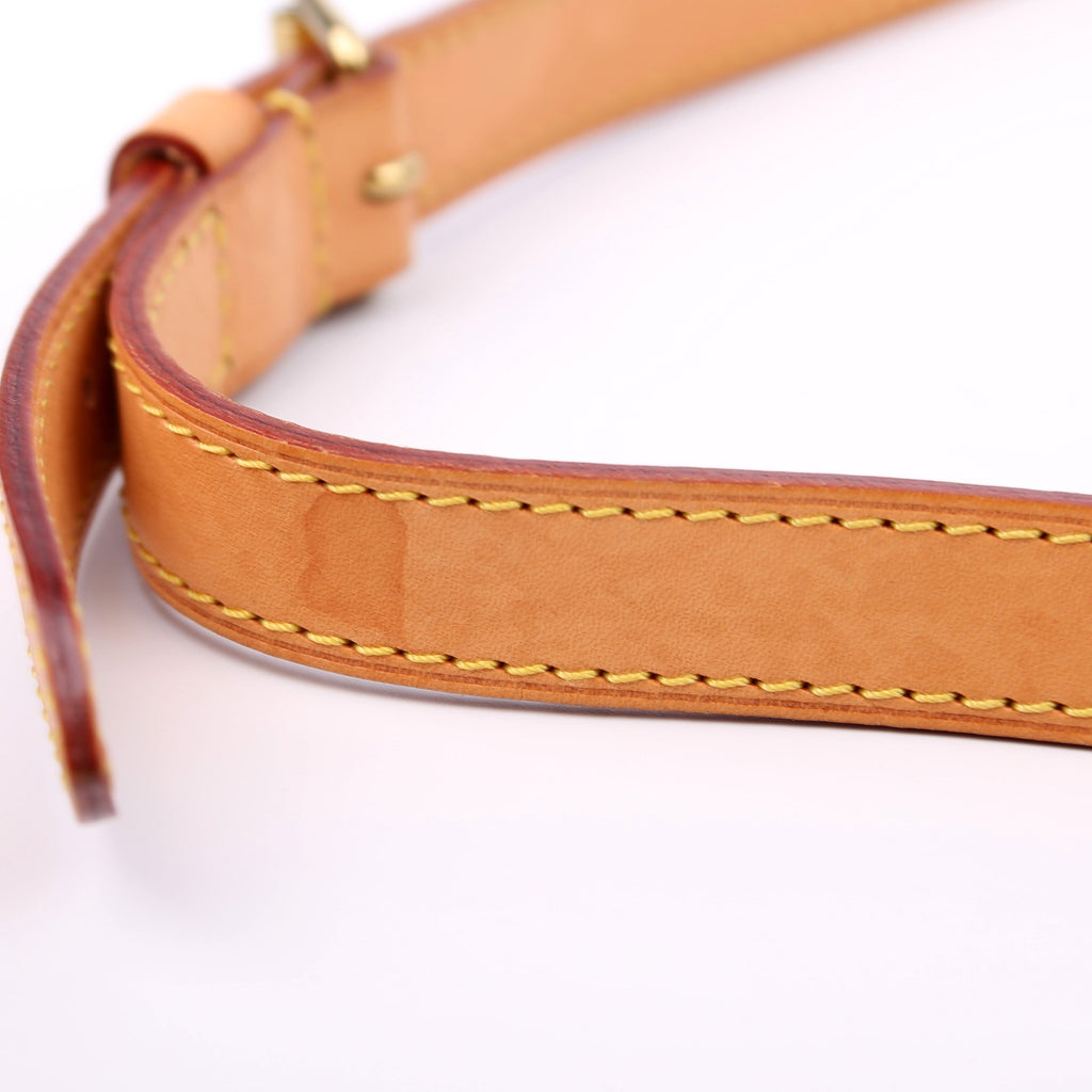 Speedy 30 Bandouliere Monogram