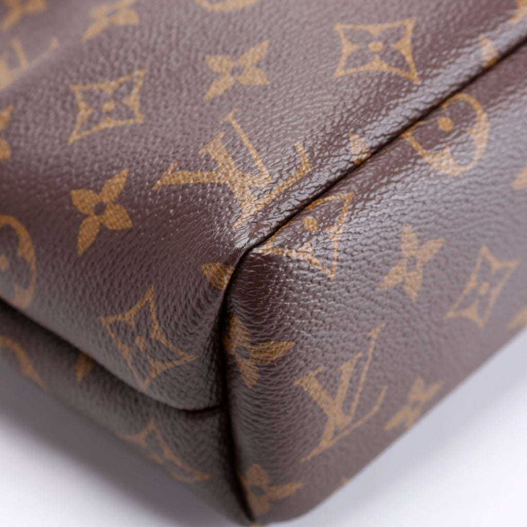 Noe Pouch Monogram Berry