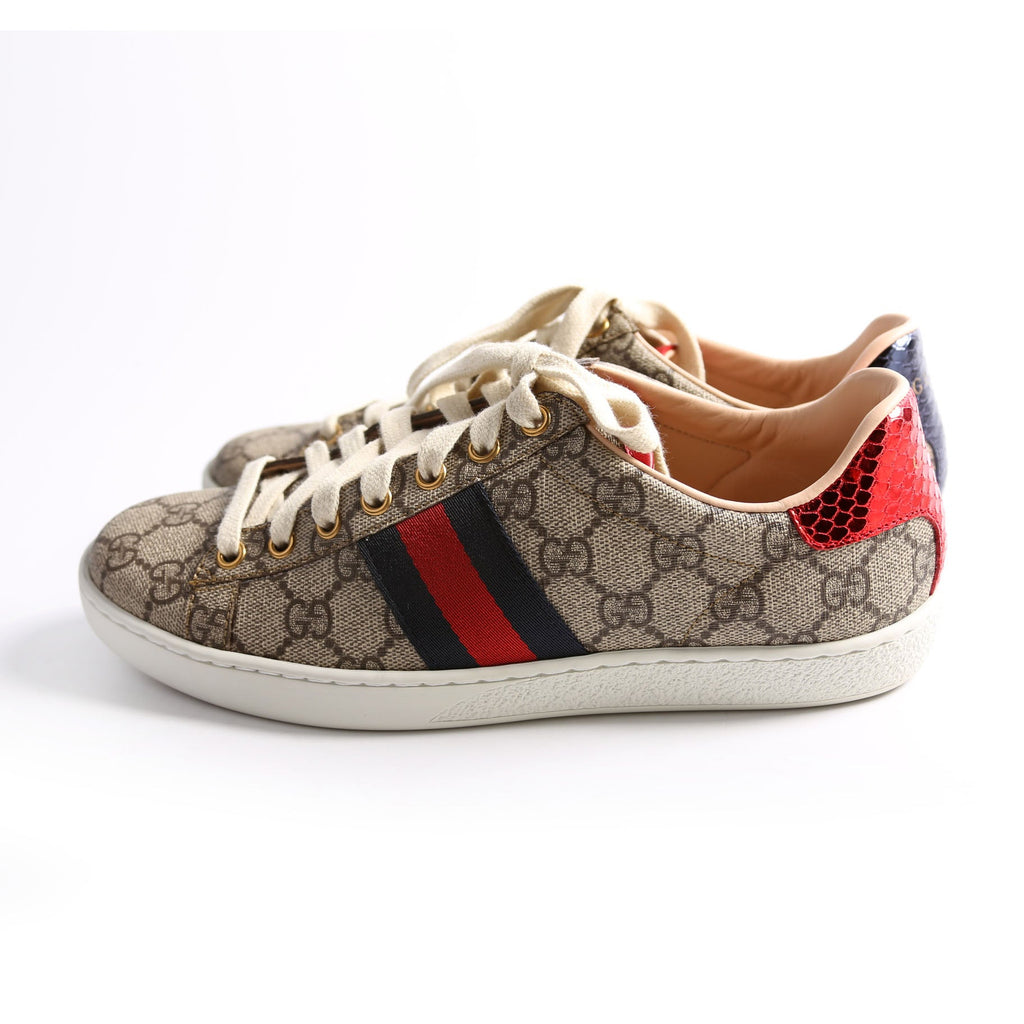 Ace Web GG Supreme Sneakers Size 38