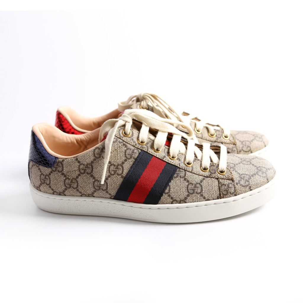 Ace Web GG Supreme Sneakers Size 38