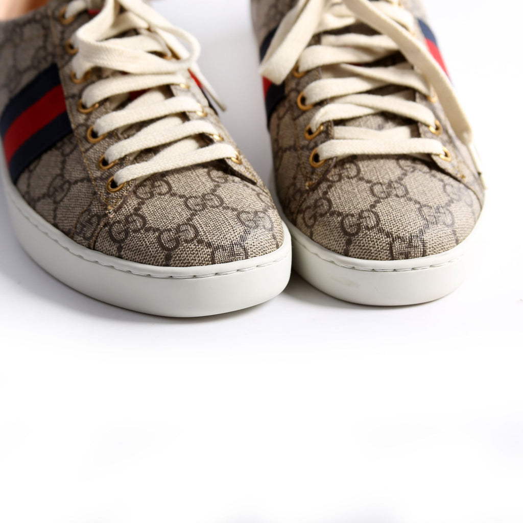 Ace Web GG Supreme Sneakers Size 38