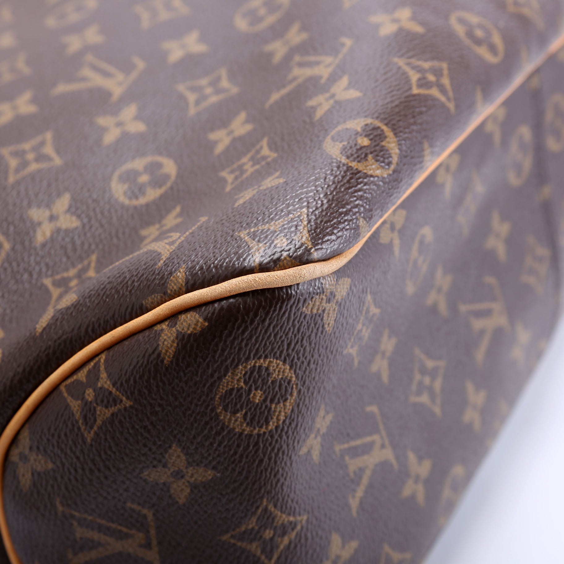 Delightful PM Monogram Brown/Beige
