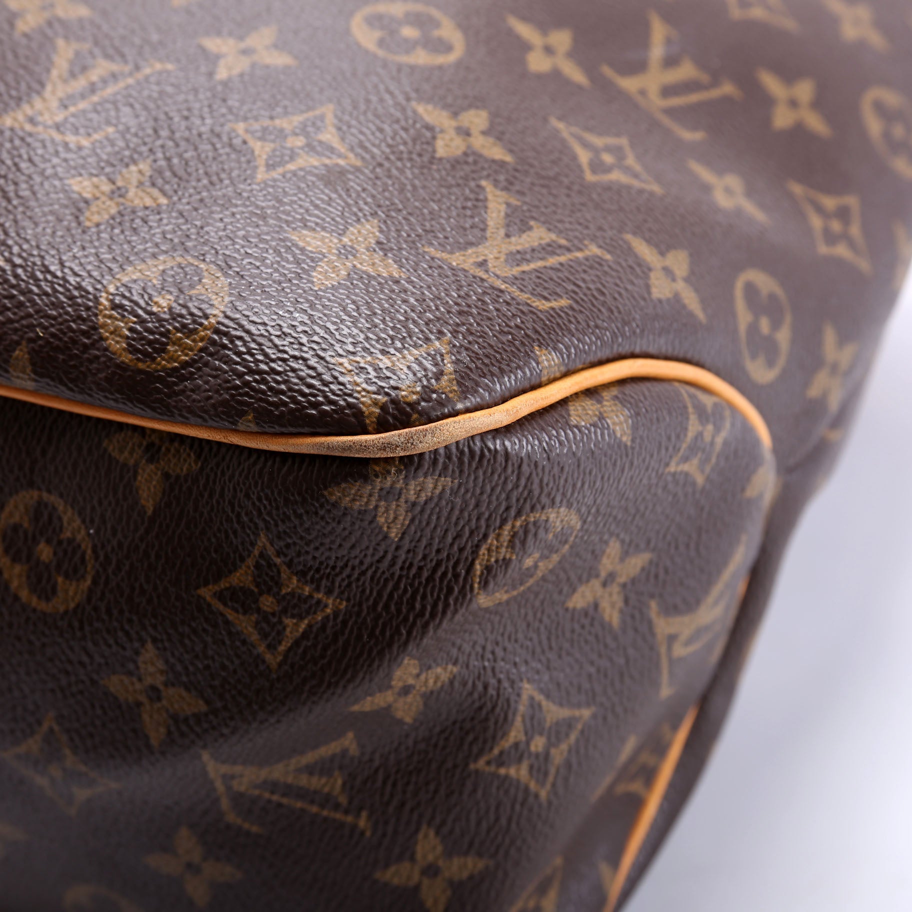 Delightful PM Monogram Brown/Beige