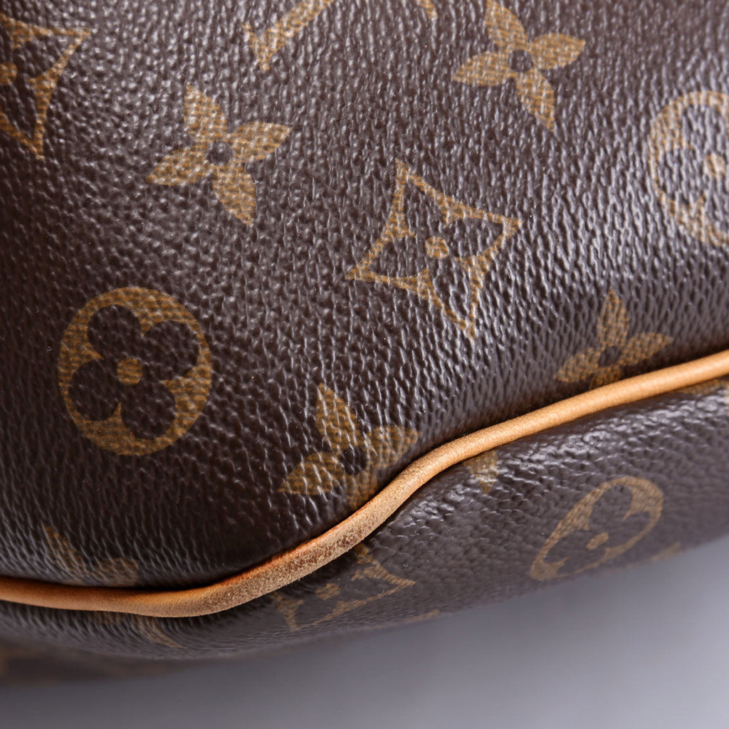 Delightful PM Monogram Brown/Beige