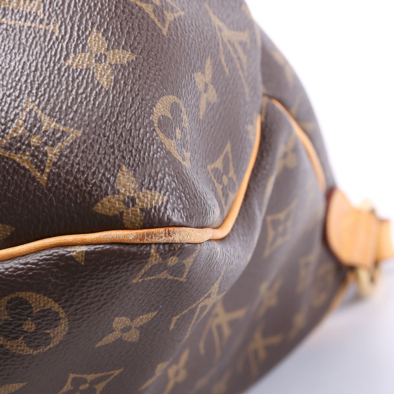 Delightful PM Monogram Brown/Beige