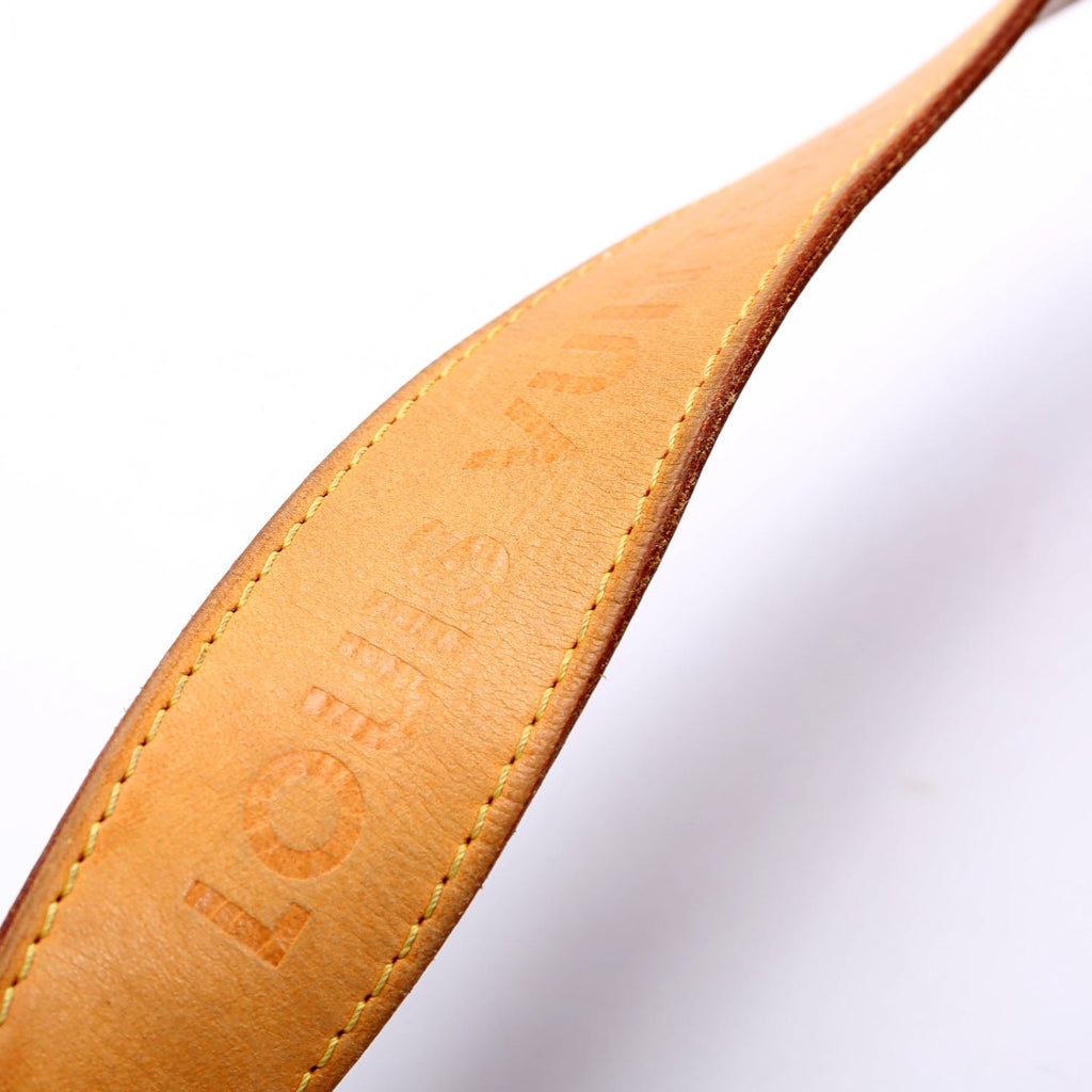 Delightful PM Monogram Brown/Beige