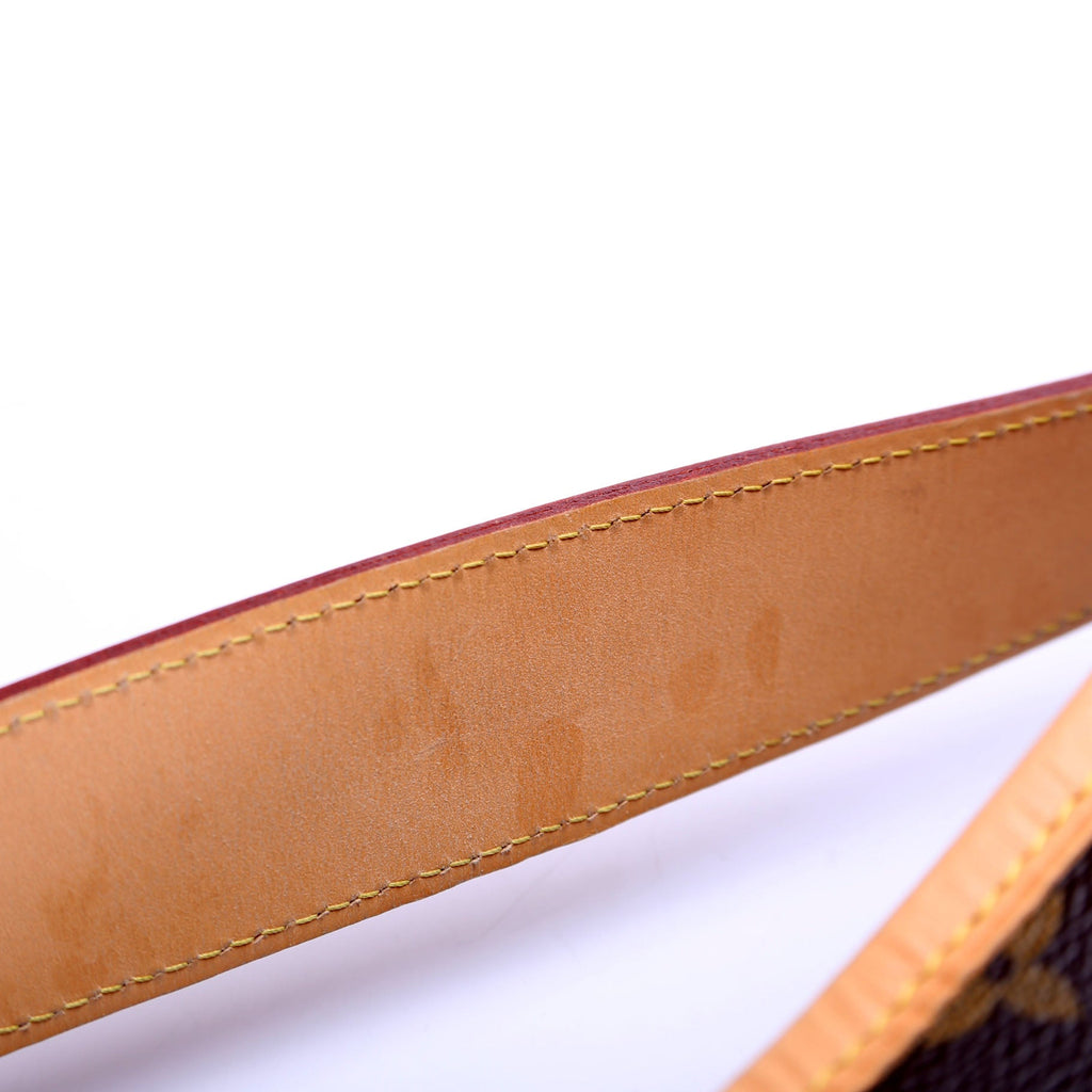 Delightful PM Monogram Brown/Beige