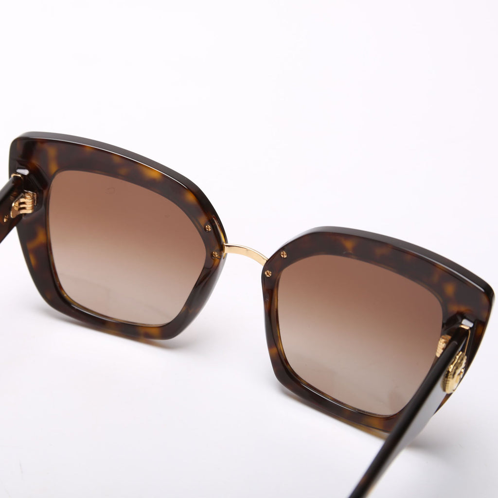 DG 4359 Havana Sunglasses