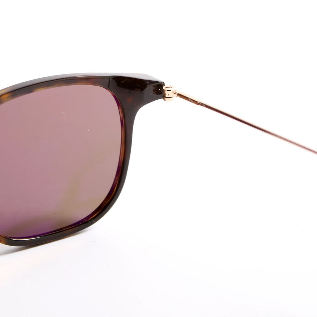 TF 672 Beau Sunglasses Brown