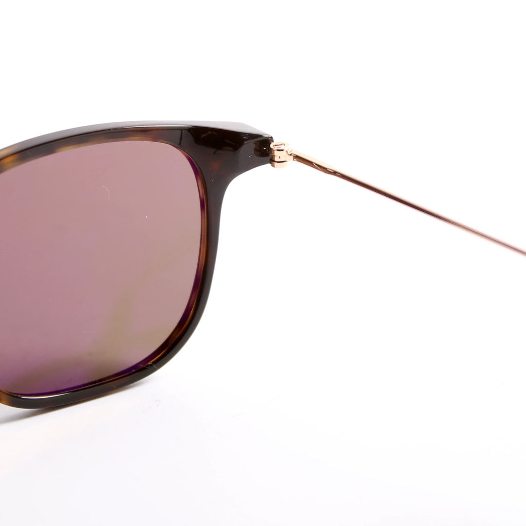 TF 672 Beau Sunglasses Brown